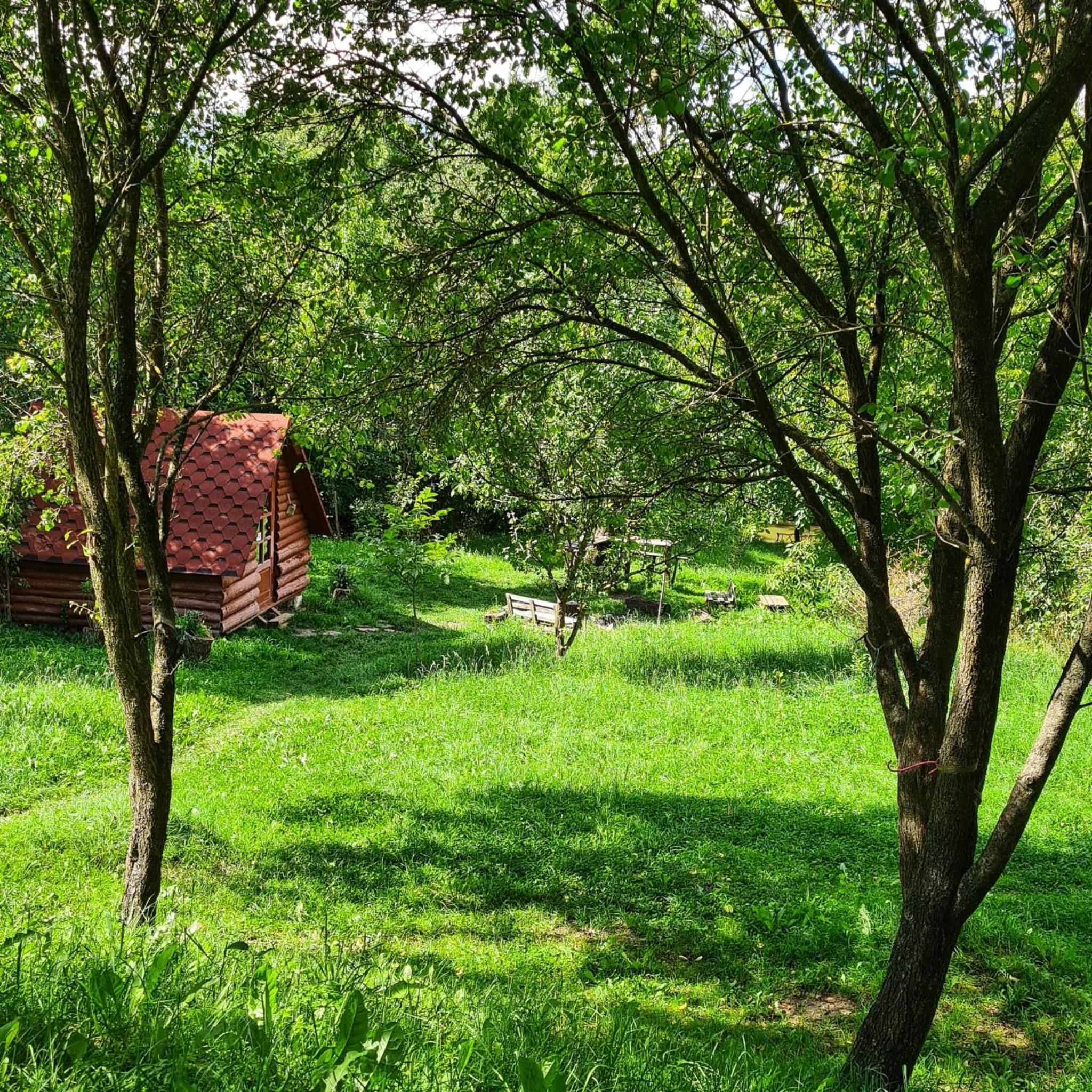 Double Room with Garden View photo 2