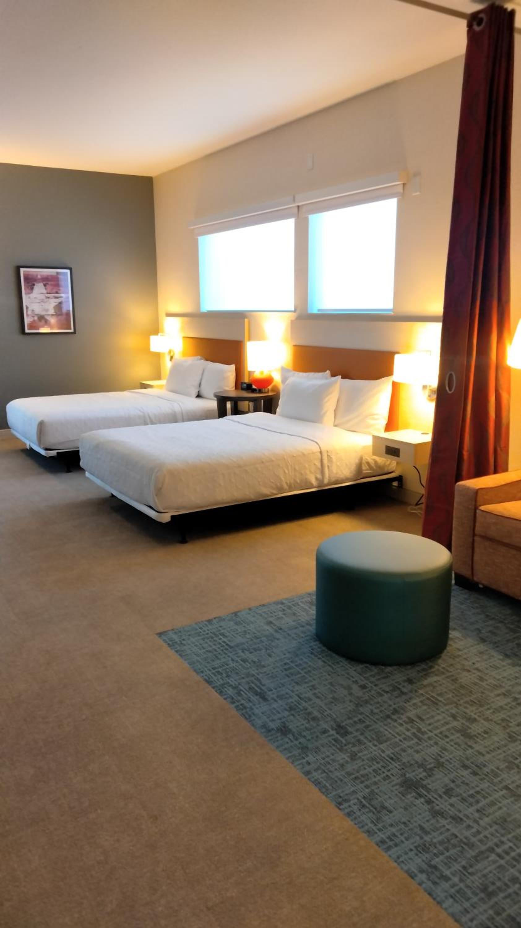 2 Queen Beds, Mobility Accessible Studio photo 1