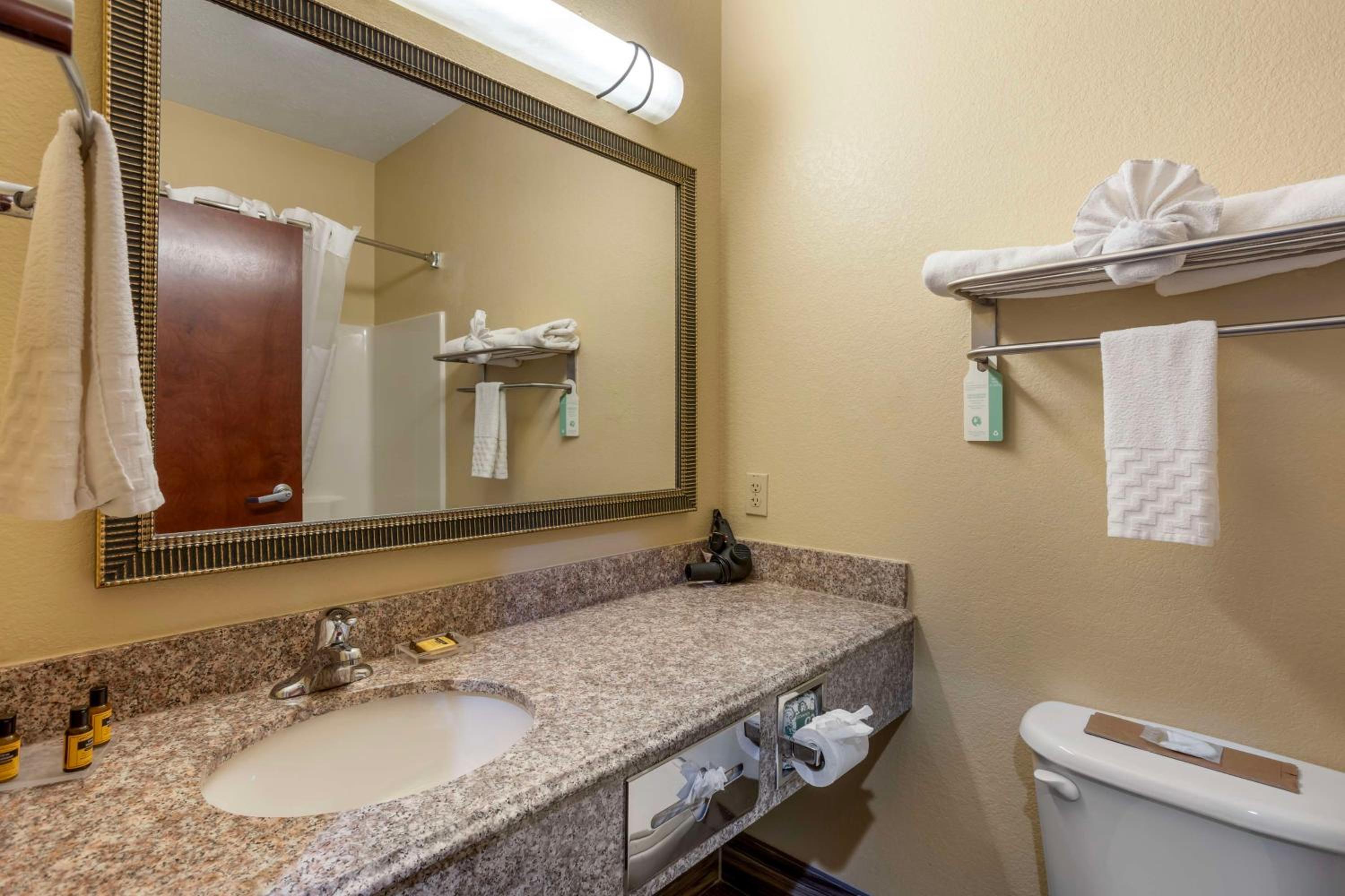 King Suite - Non-Smoking photo 2
