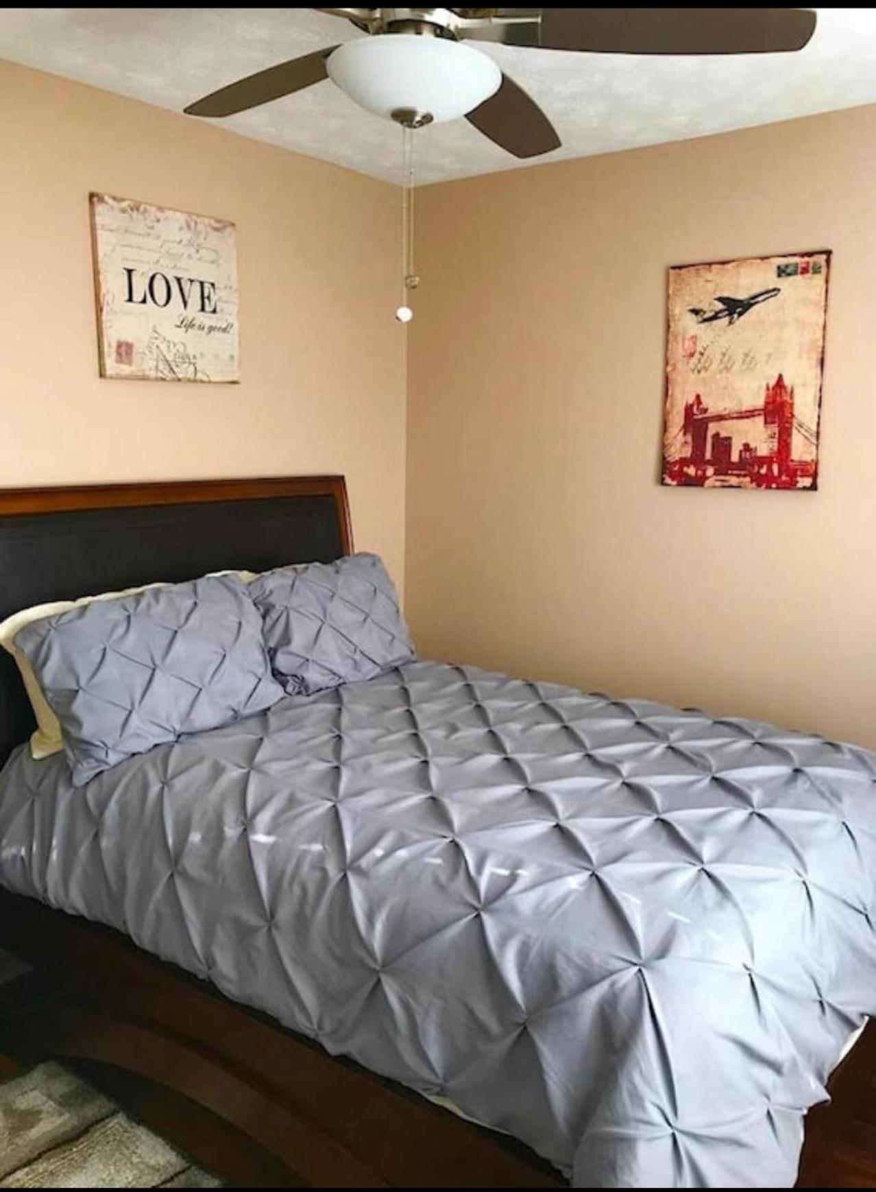 One-Bedroom House photo 1