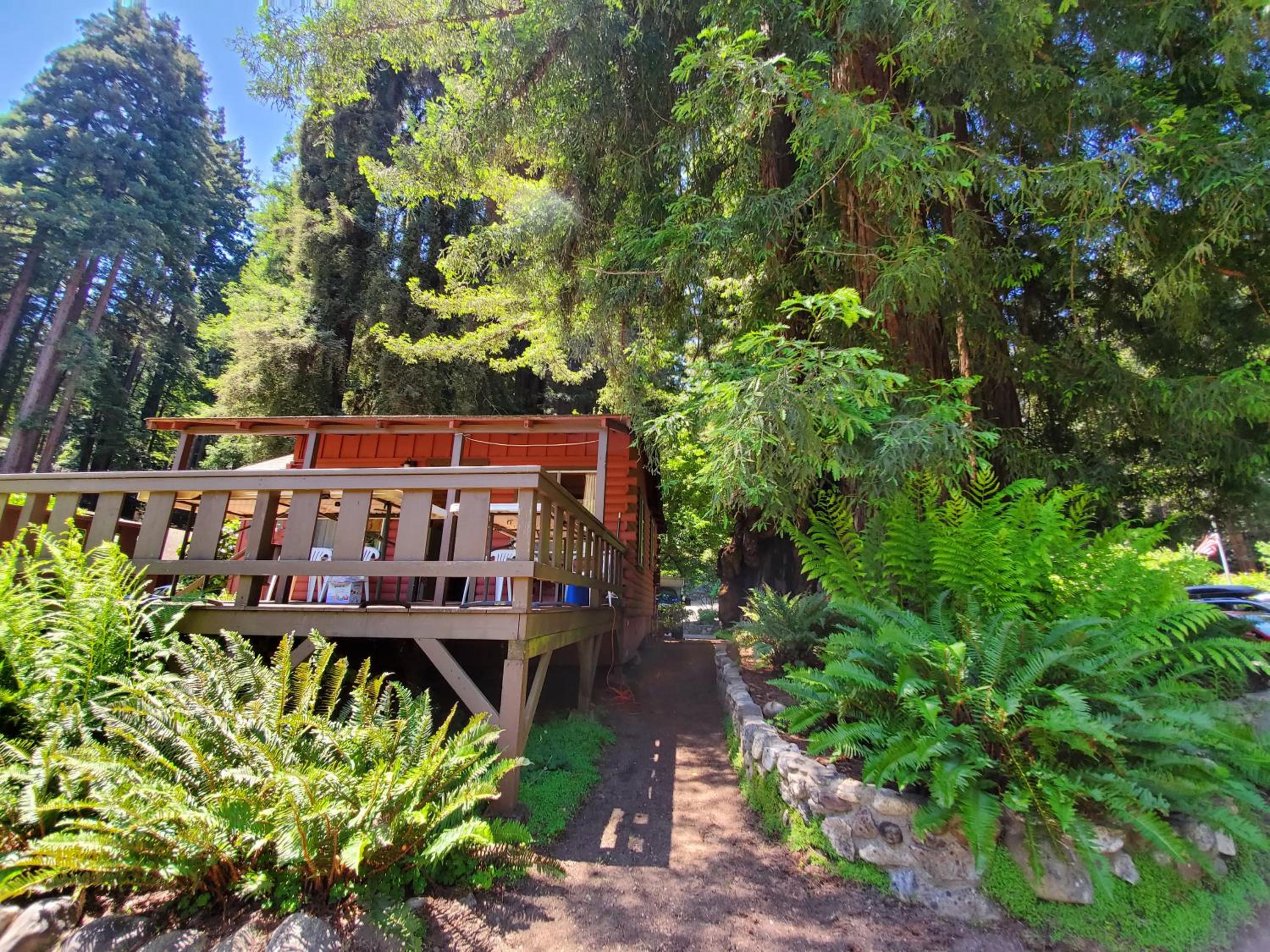 One-Bedroom Cabin (Cabin 8)