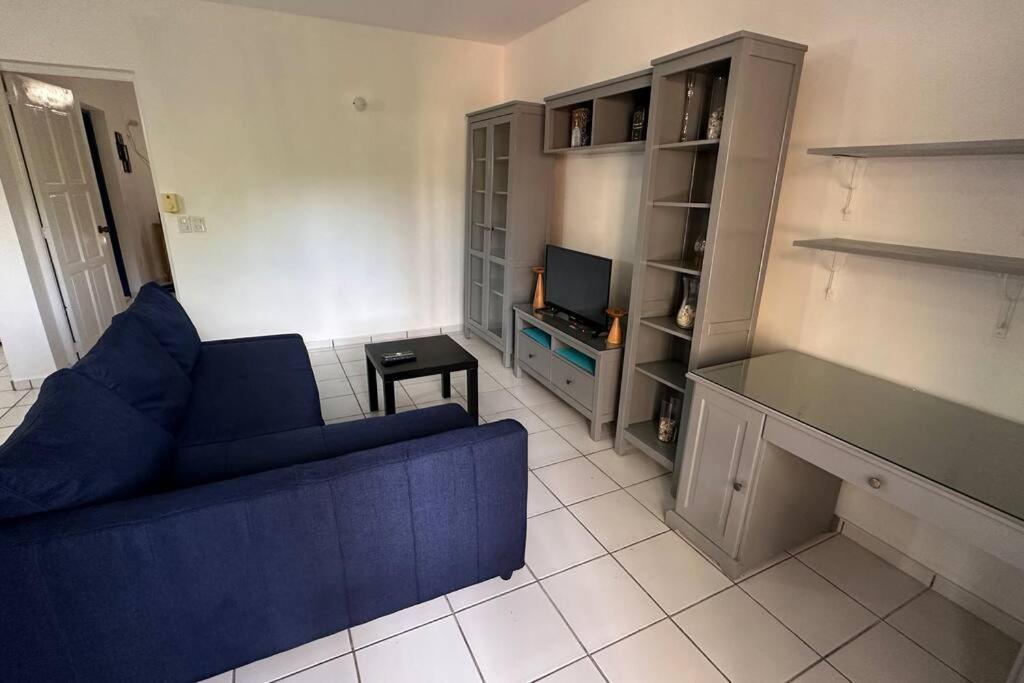 One-Bedroom Apartment photo 3