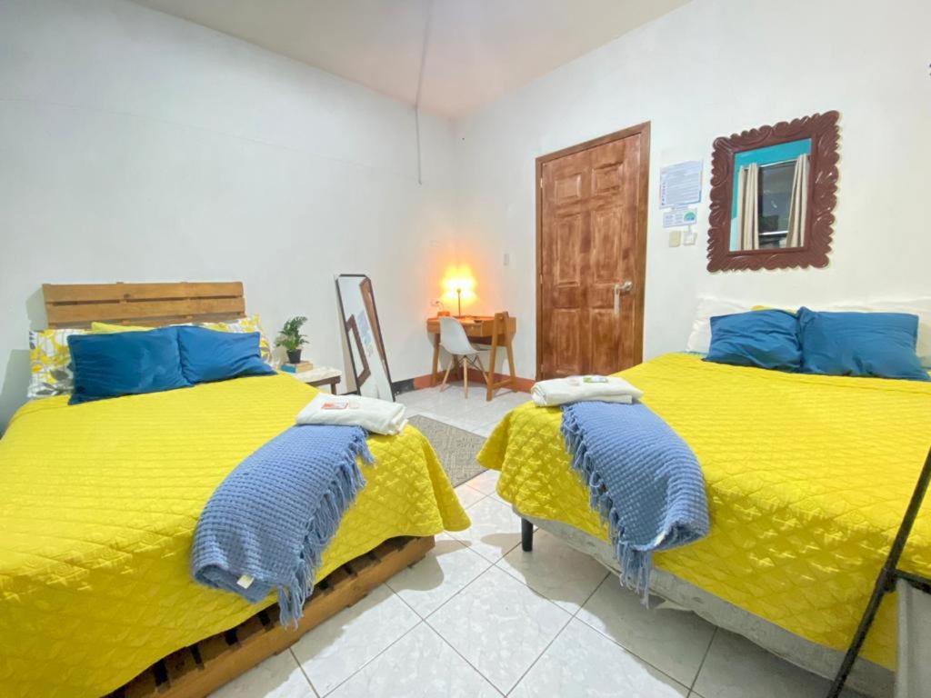 Twin Room photo 2