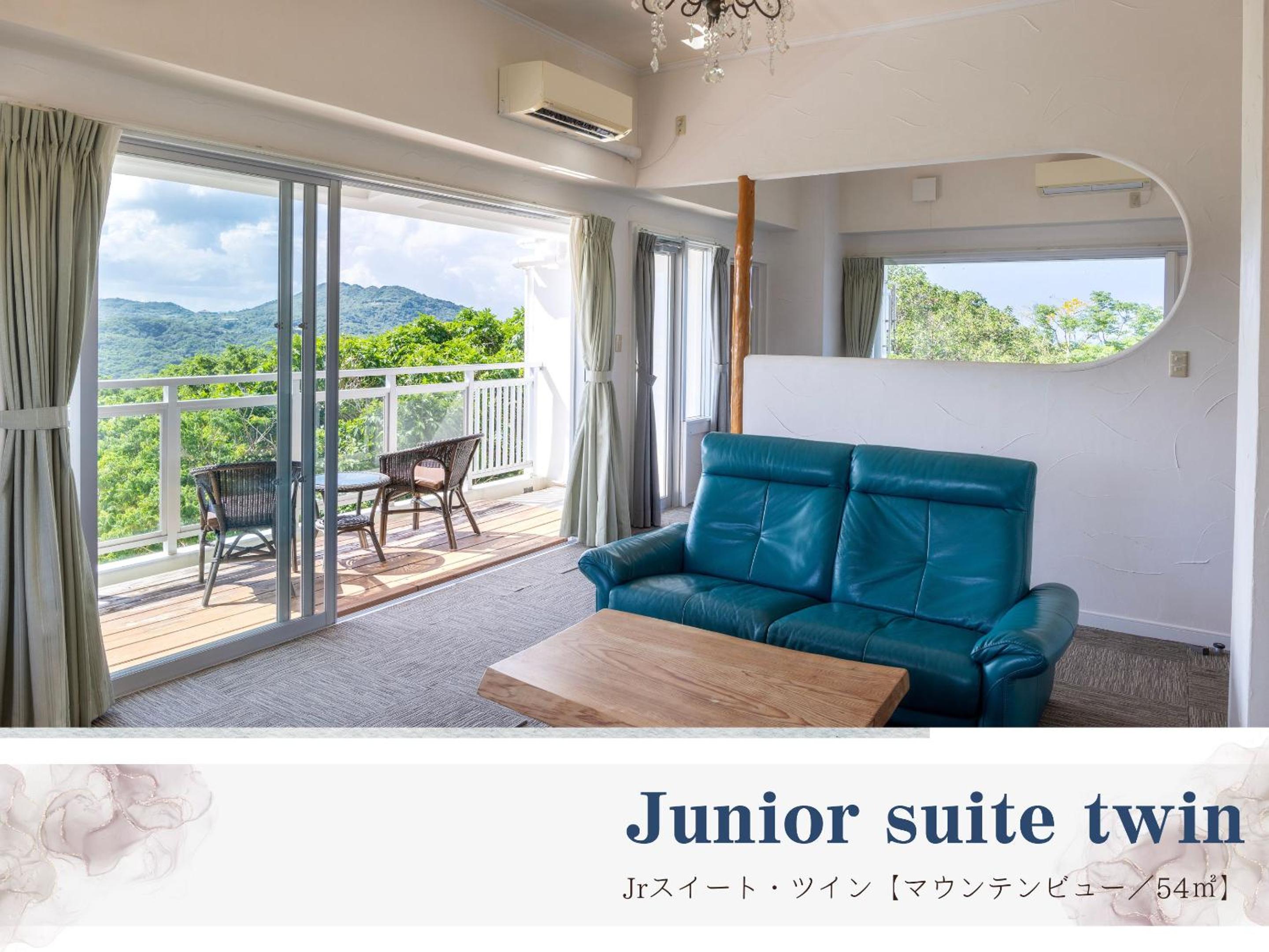 Deluxe Suite photo 2