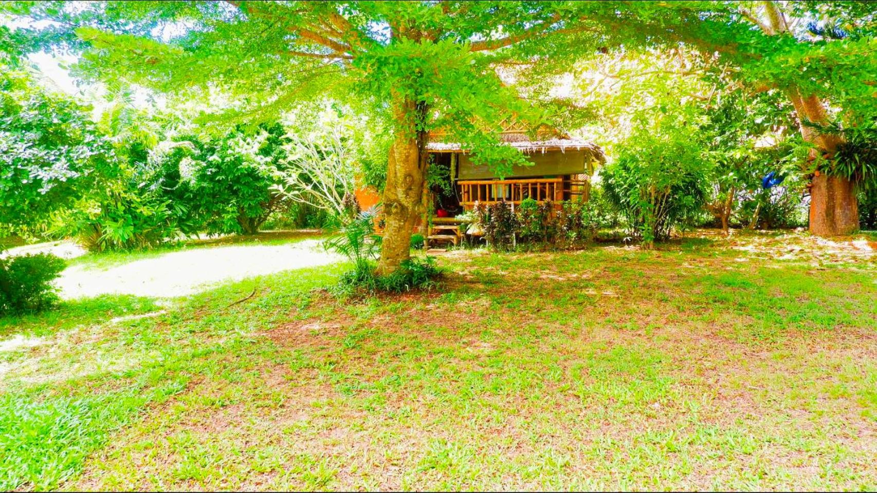 Bamboo Double Cabin with Private Bathroom photo 3