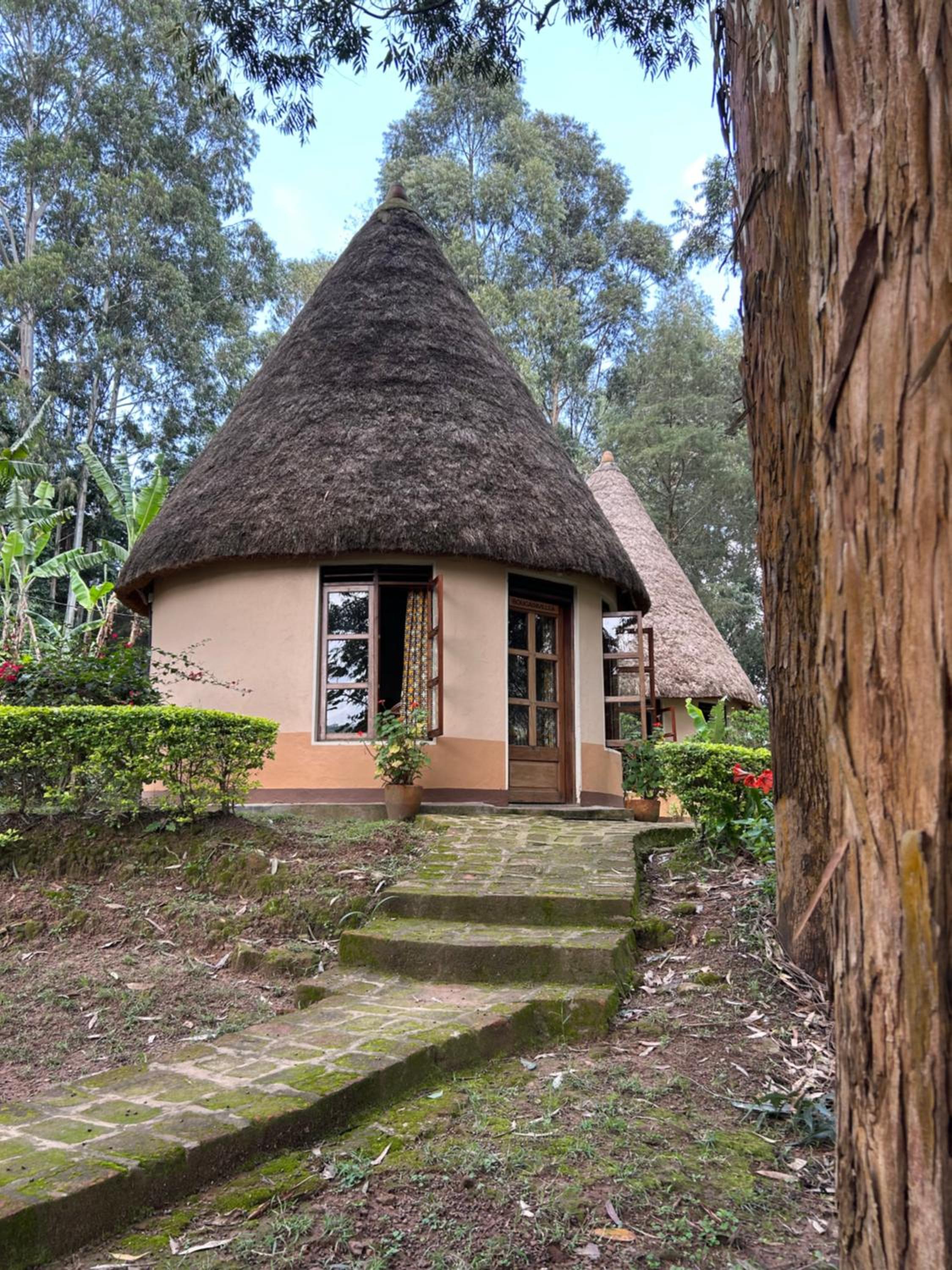 Double Room with Garden View photo 3