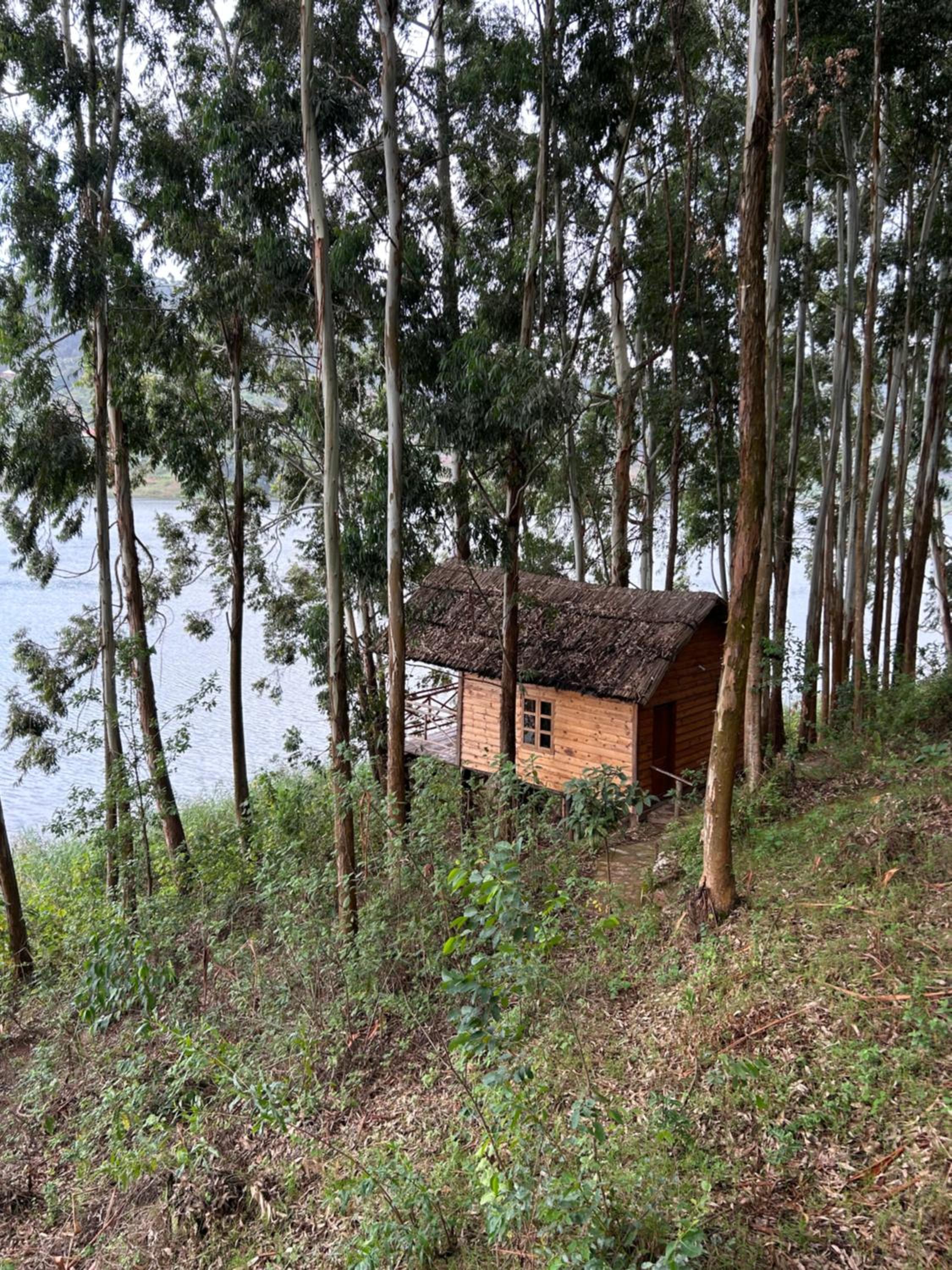 Triple Room with Lake View photo 2