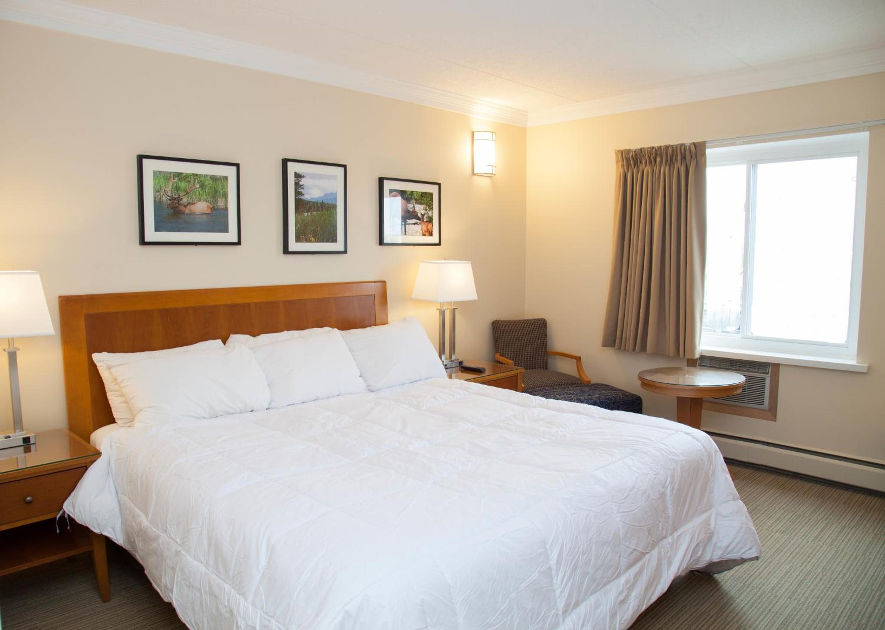 King Room photo 1
