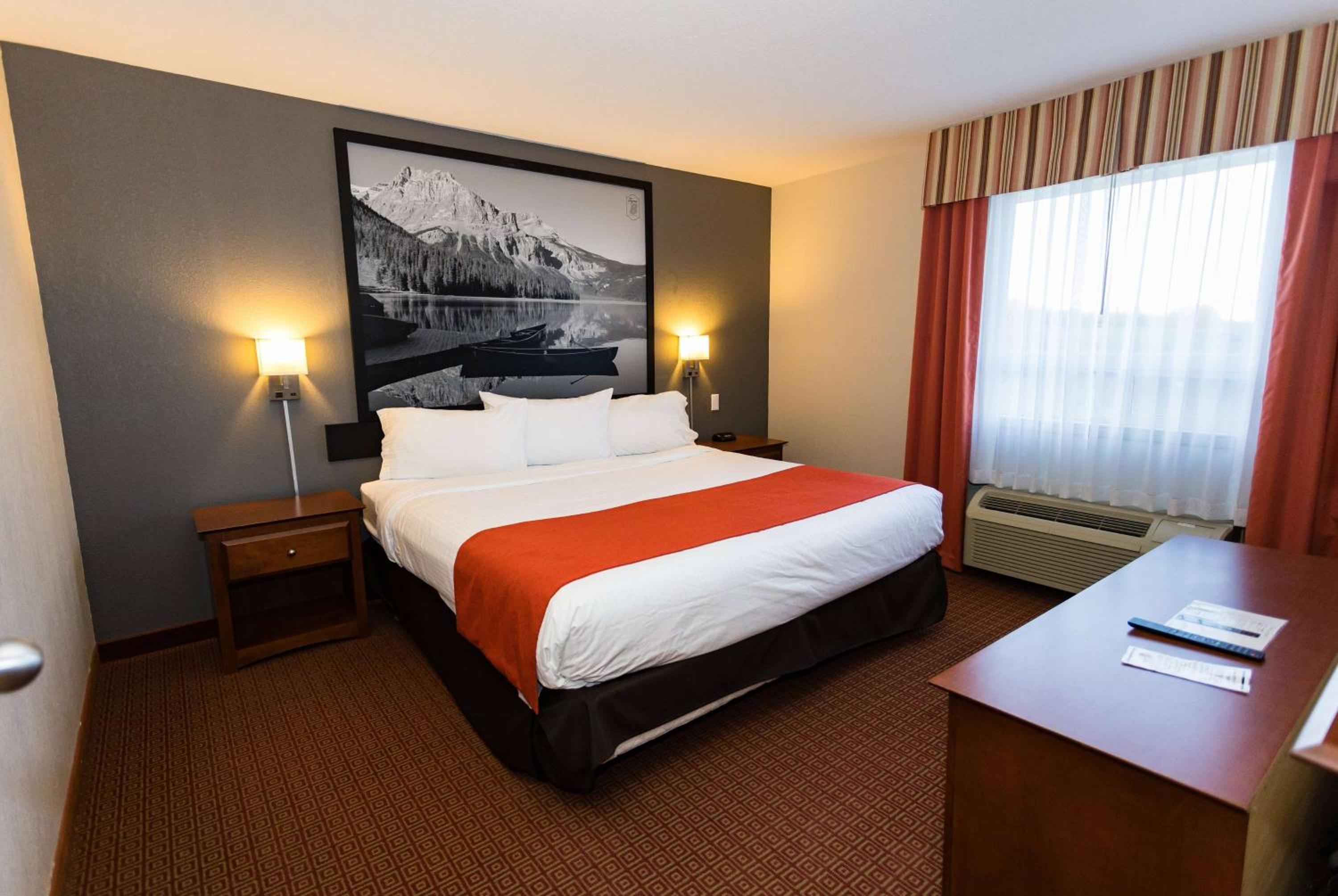  King Suite - Photo 1
