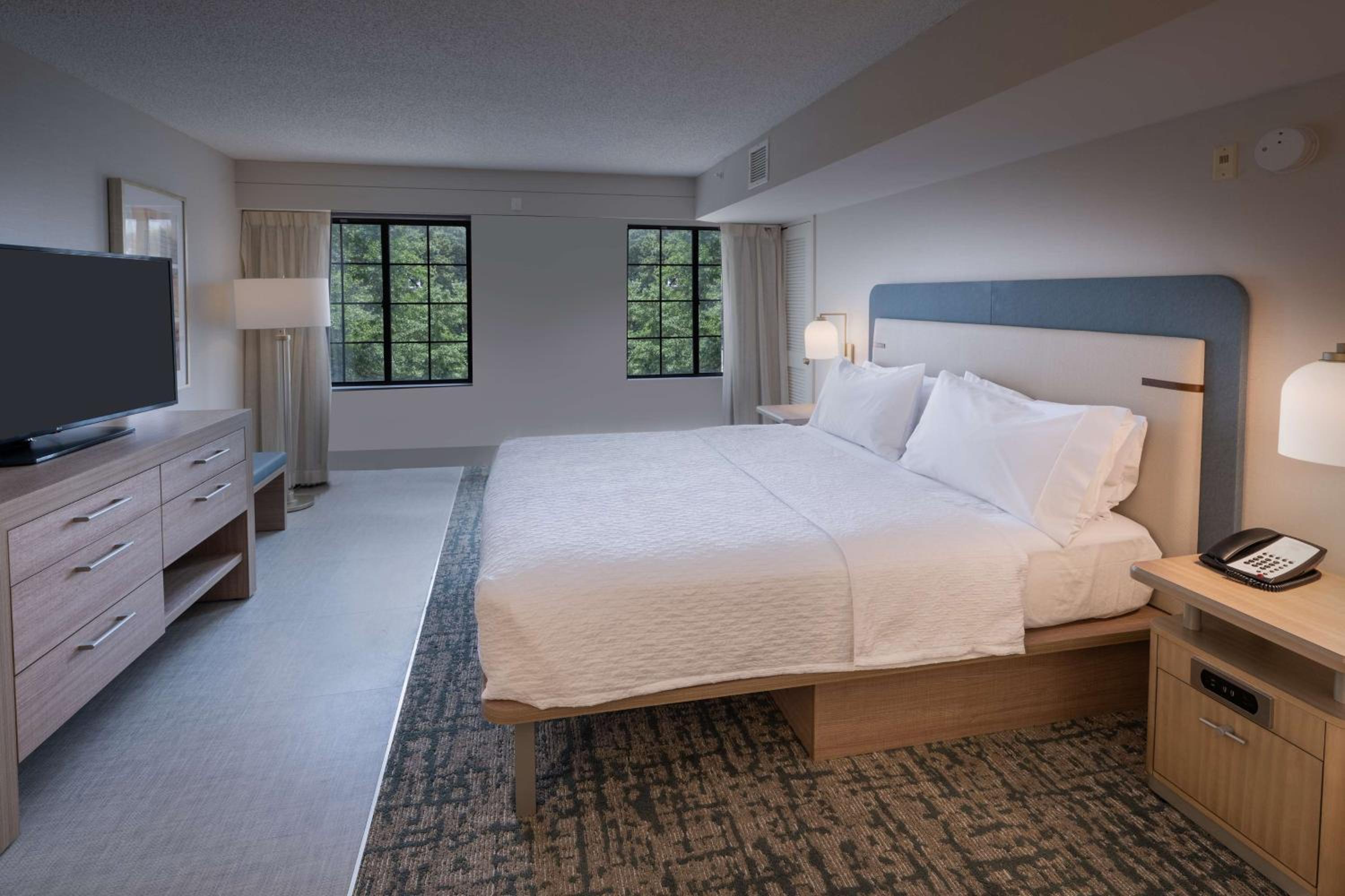 One-Bedroom King Suite - Photo 6