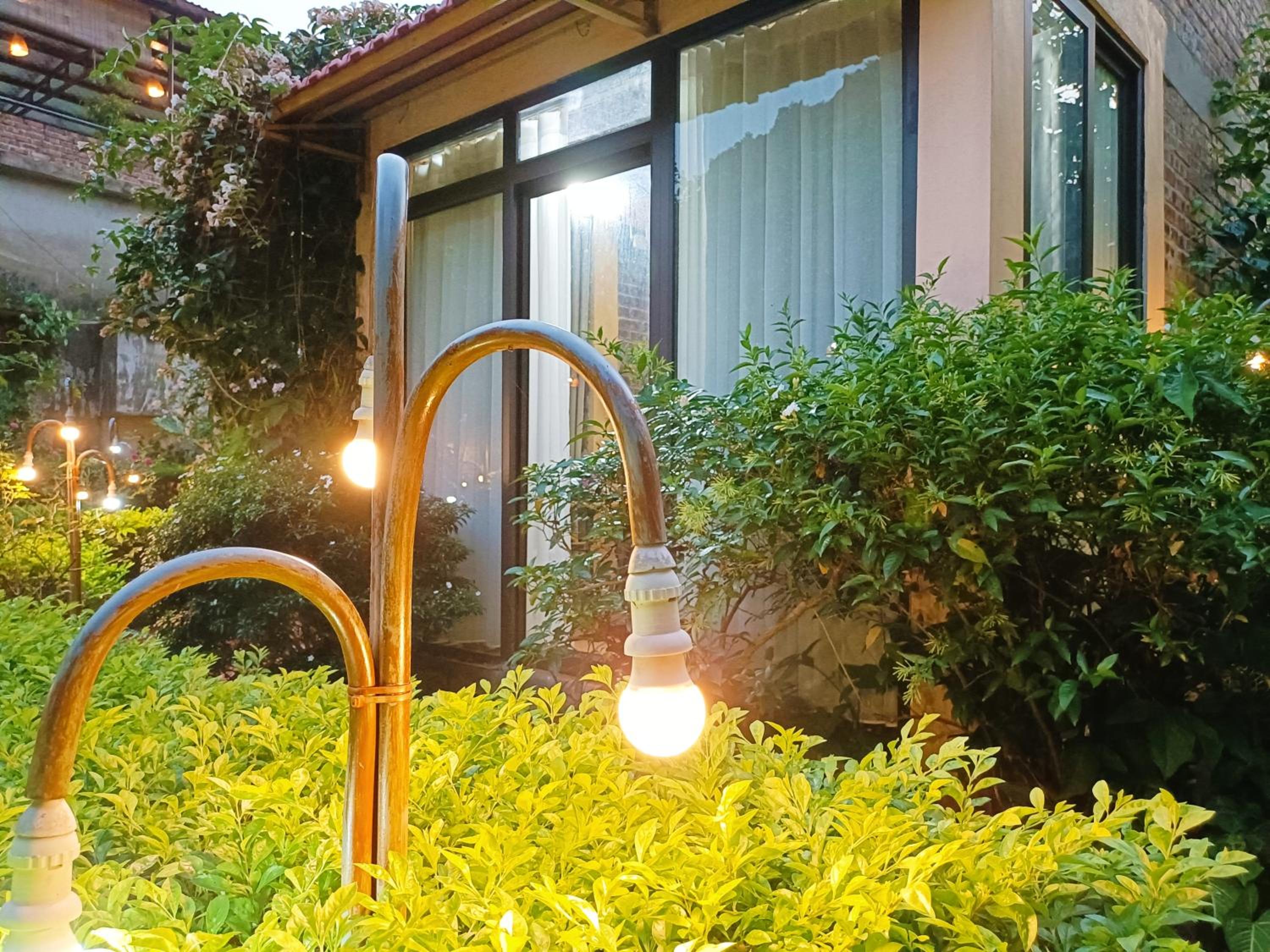 Double Room with Garden View photo 3