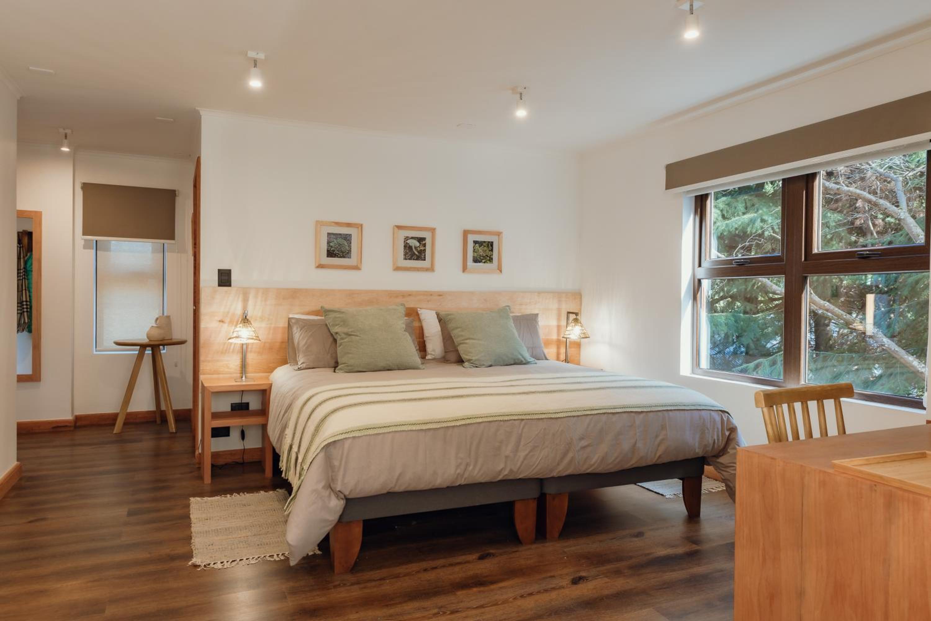 Deluxe King Room photo 2