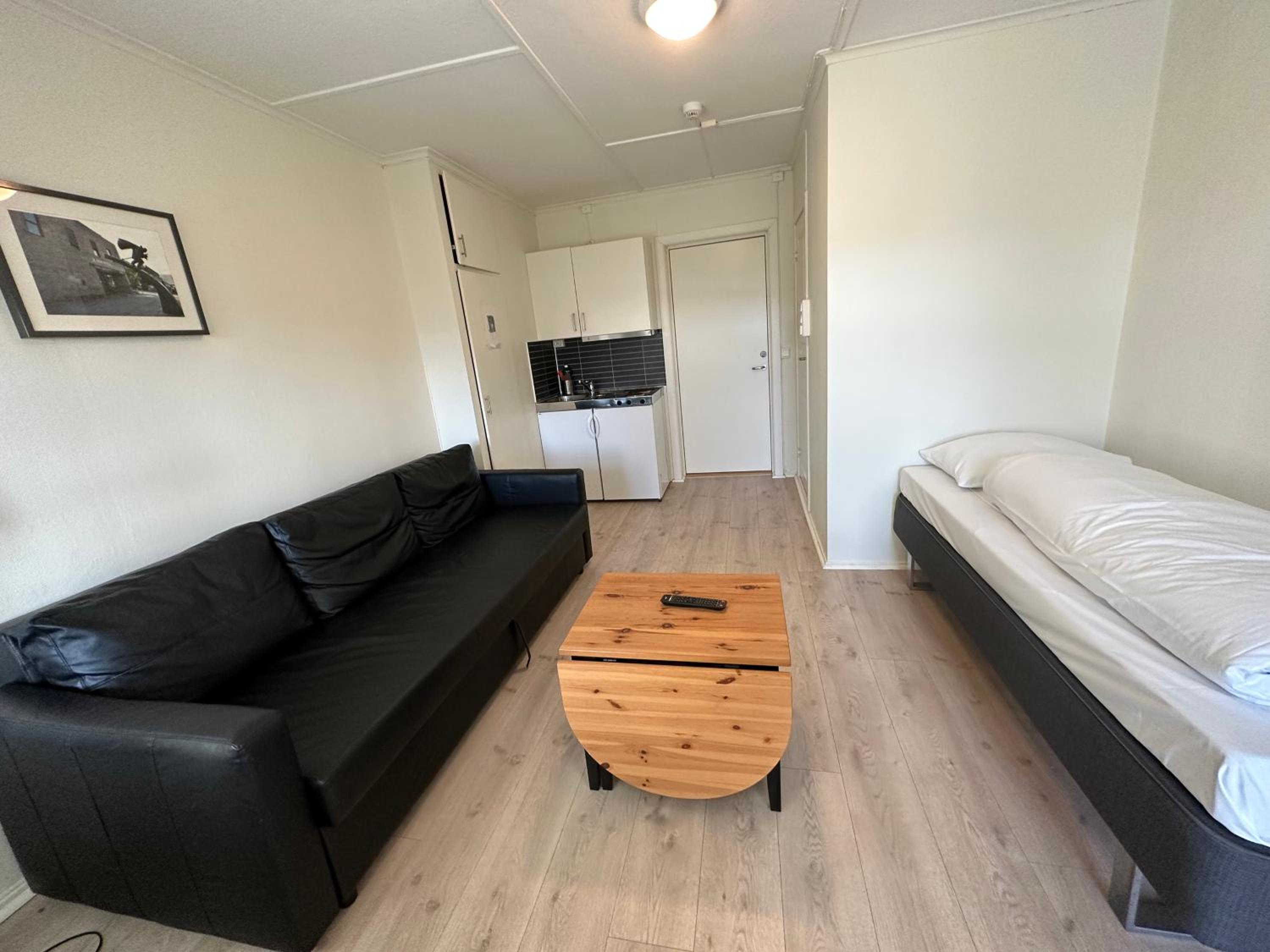 One-Bedroom Apartment photo 2