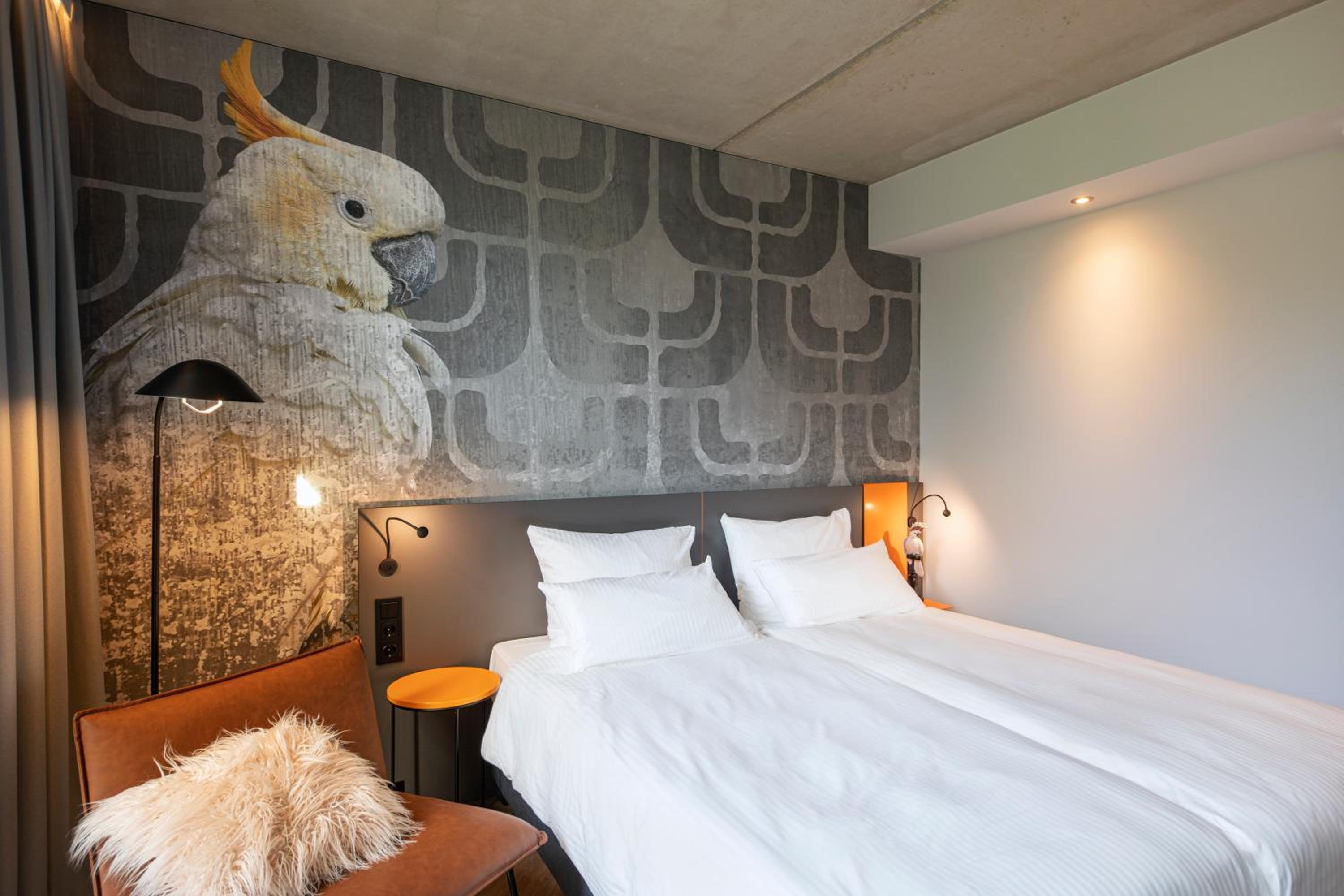 Superior Double Room photo 3