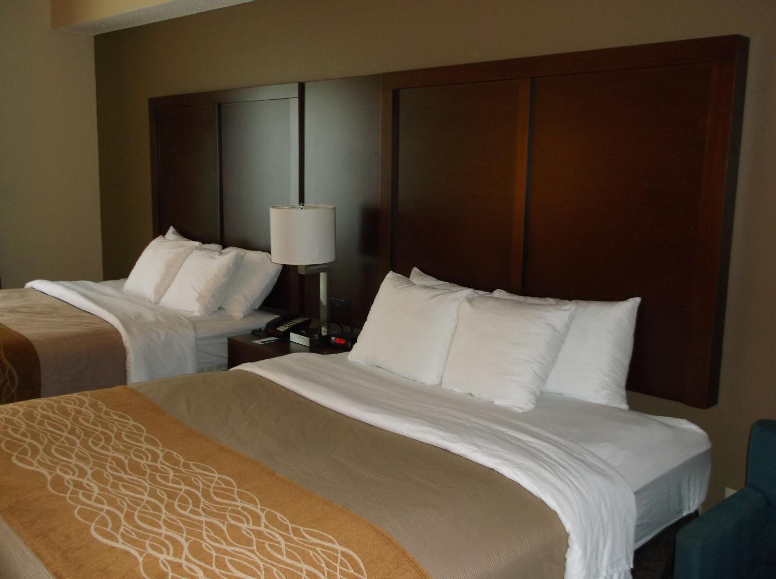 Queen Room with Two Queen Beds - Accessible/Non-Smoking  - Photo 1
