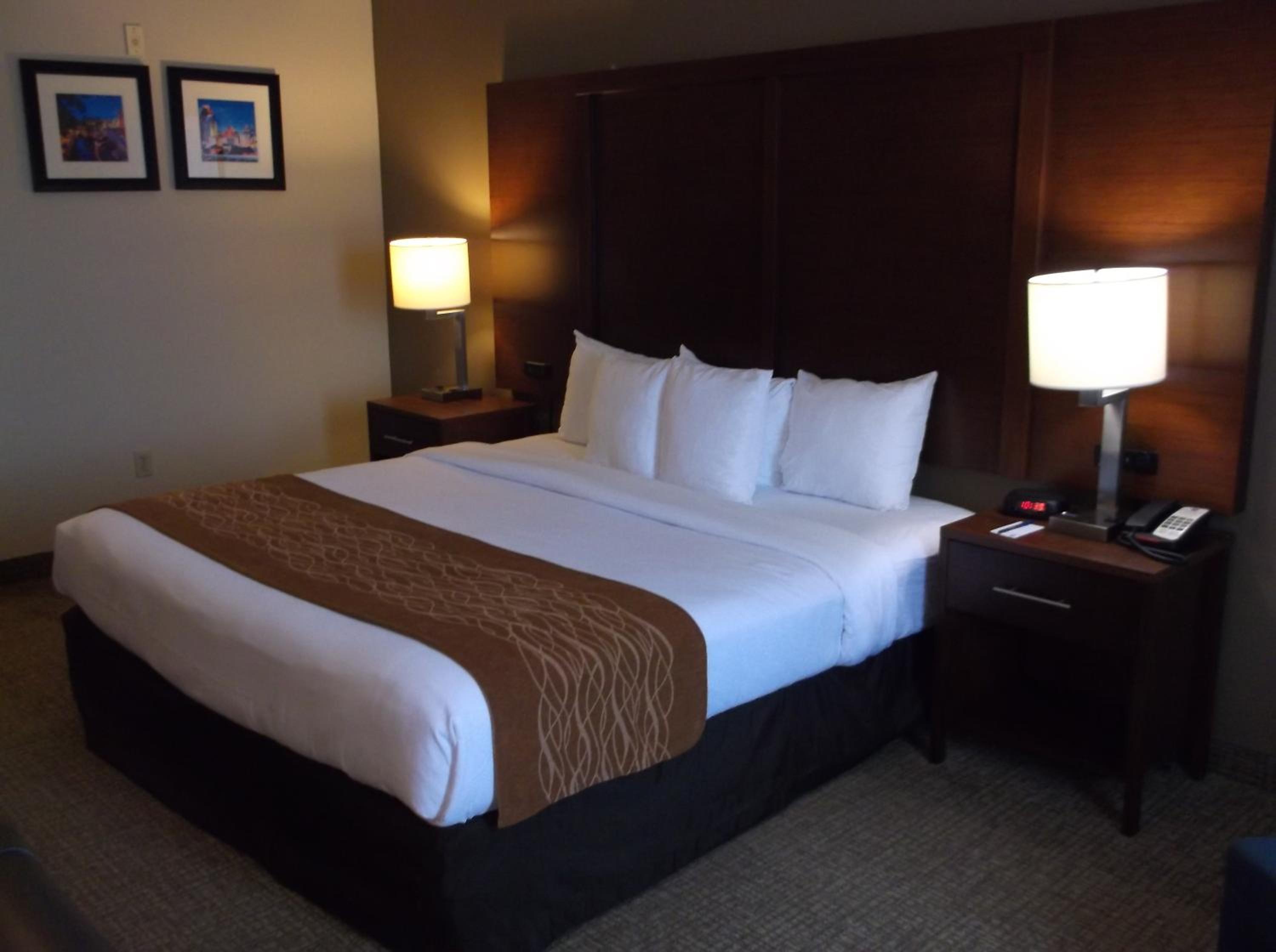 King Room with Roll-in-Shower - Accessible/Non-Smoking - Photo 2