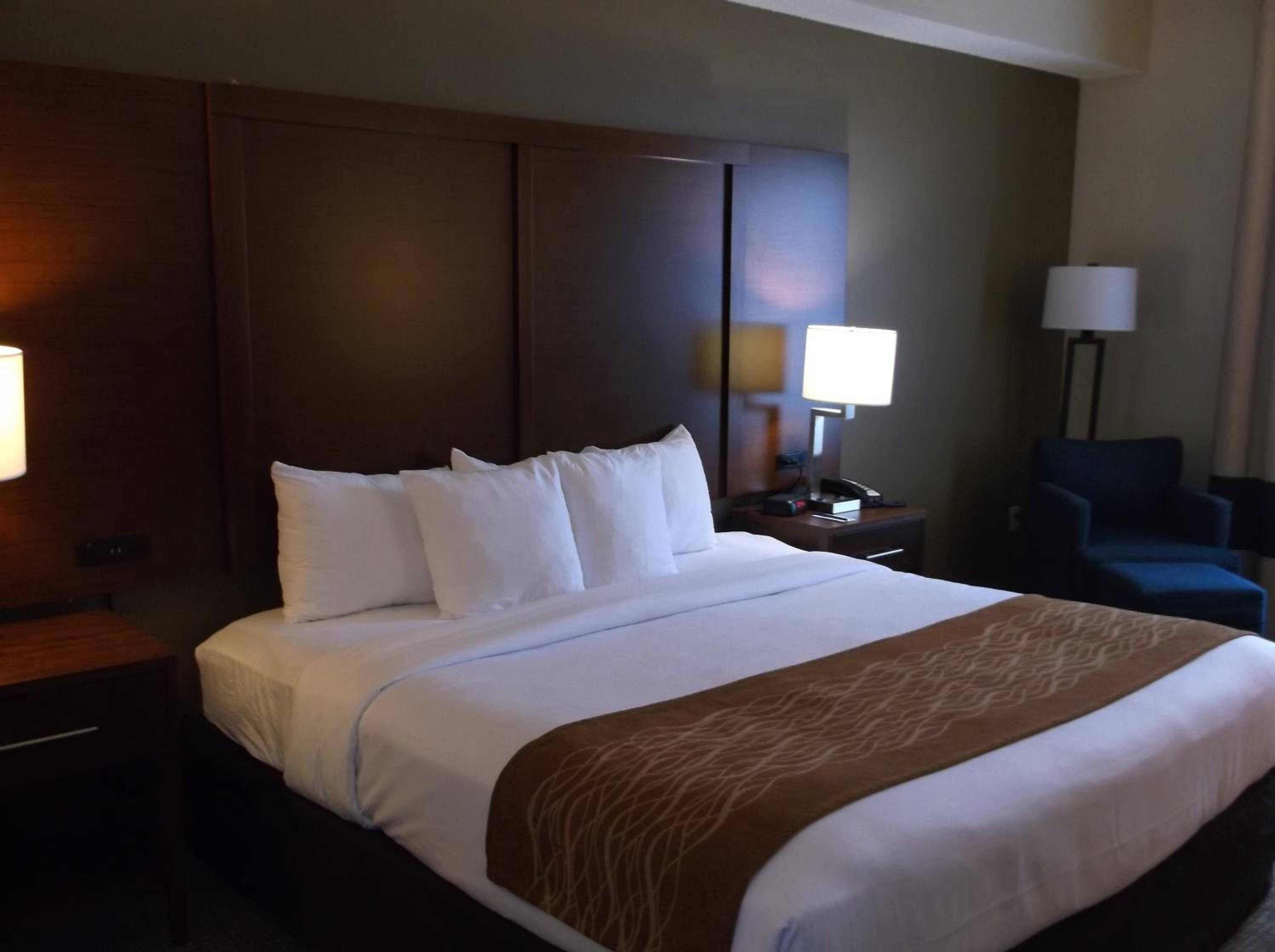 King Room with Roll-in-Shower - Accessible/Non-Smoking - Photo 3