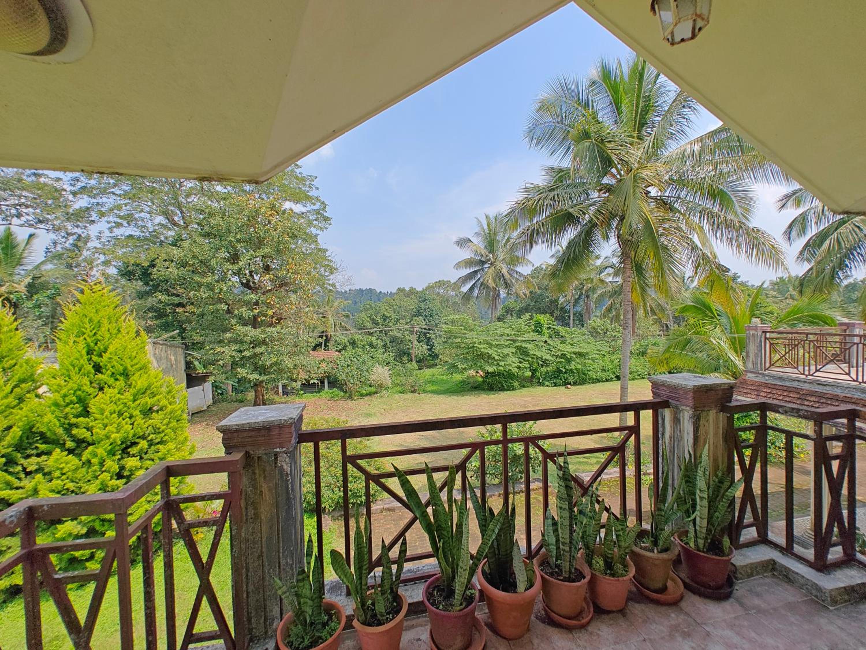 Double Room with Balcony photo 2