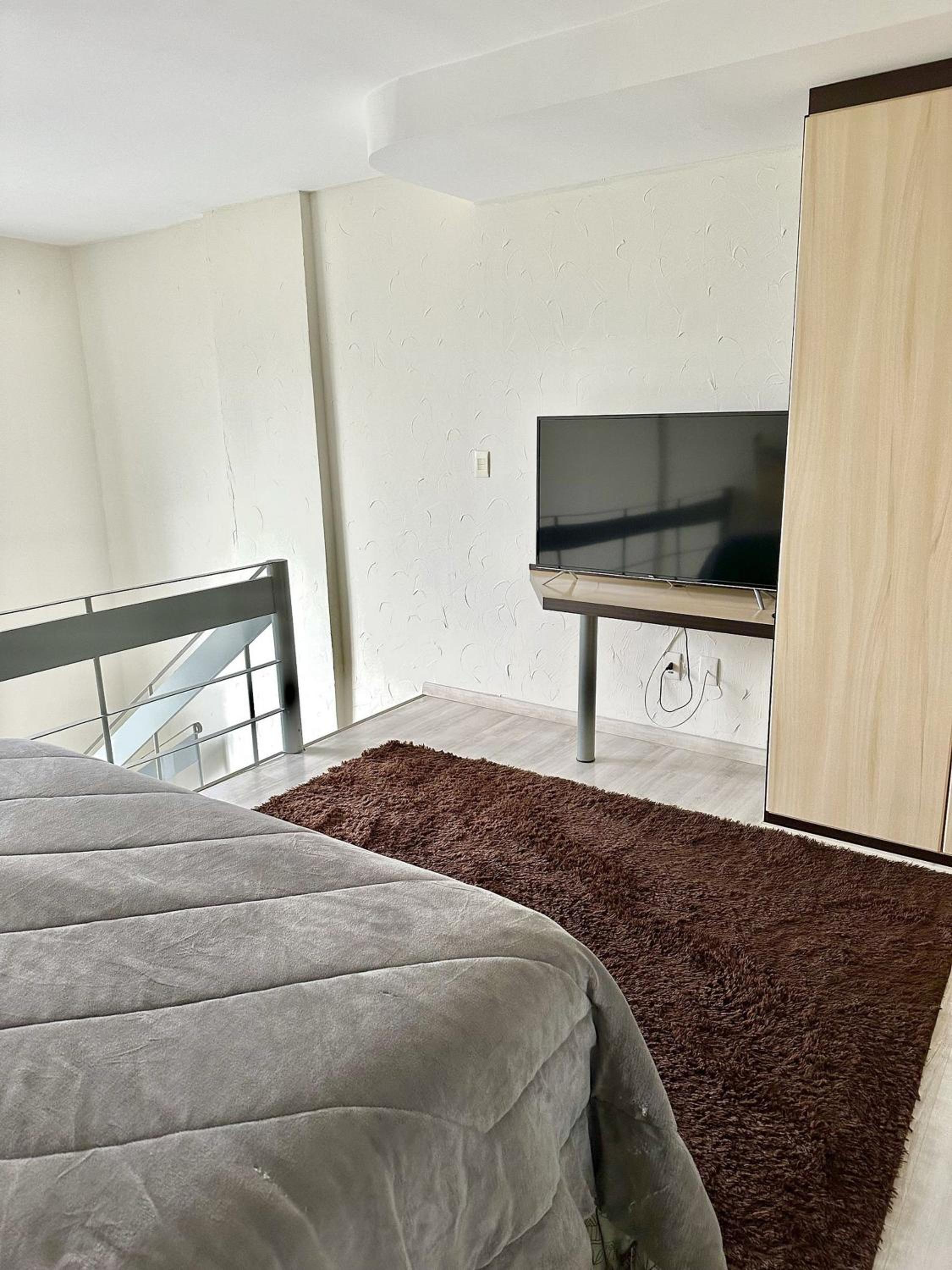Duplex Apartment photo 3