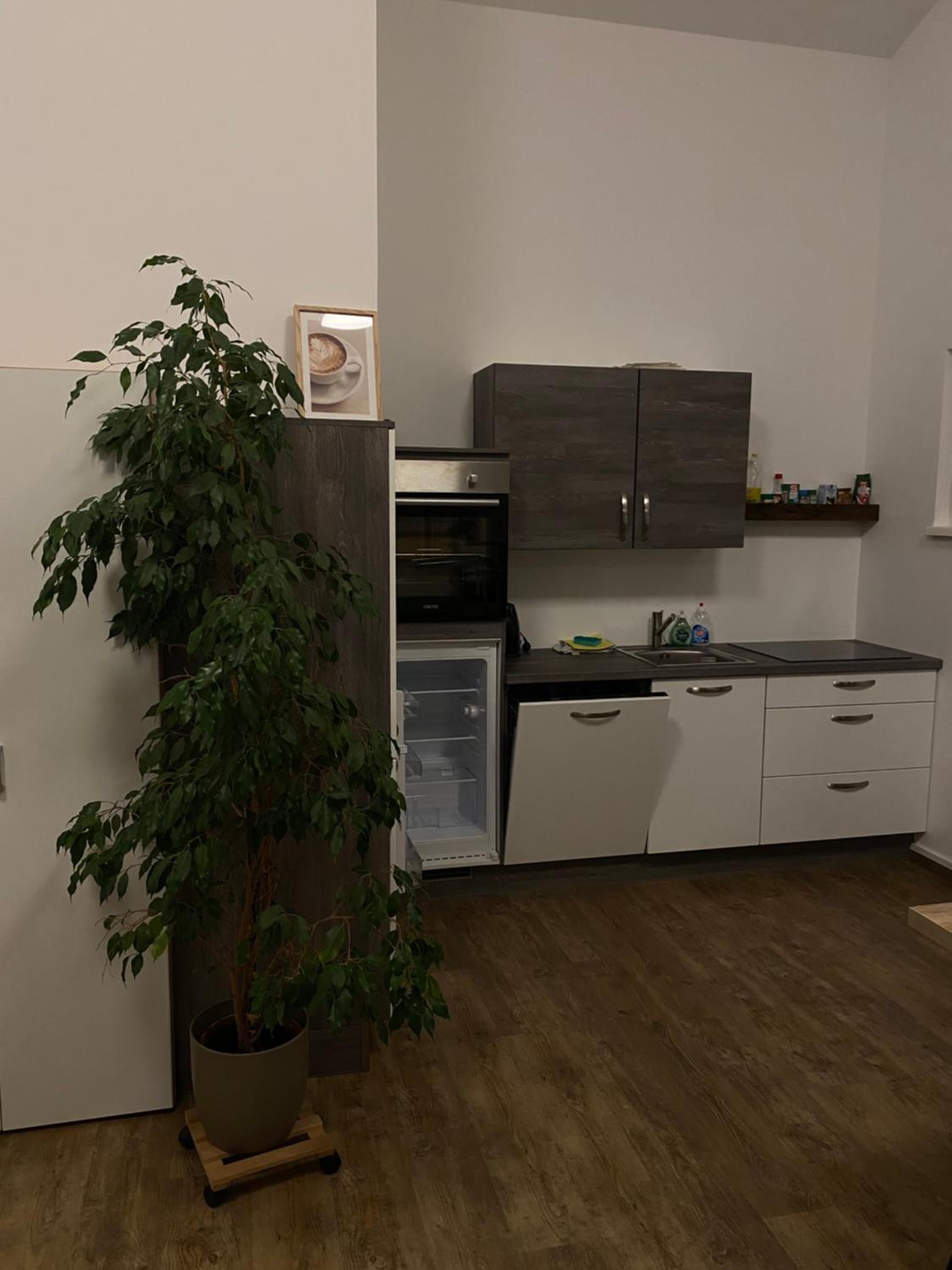 One-Bedroom Apartment photo 2