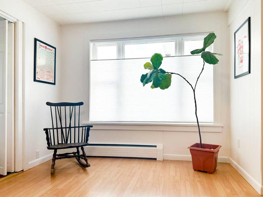 Apartment - Ground Floor photo 3