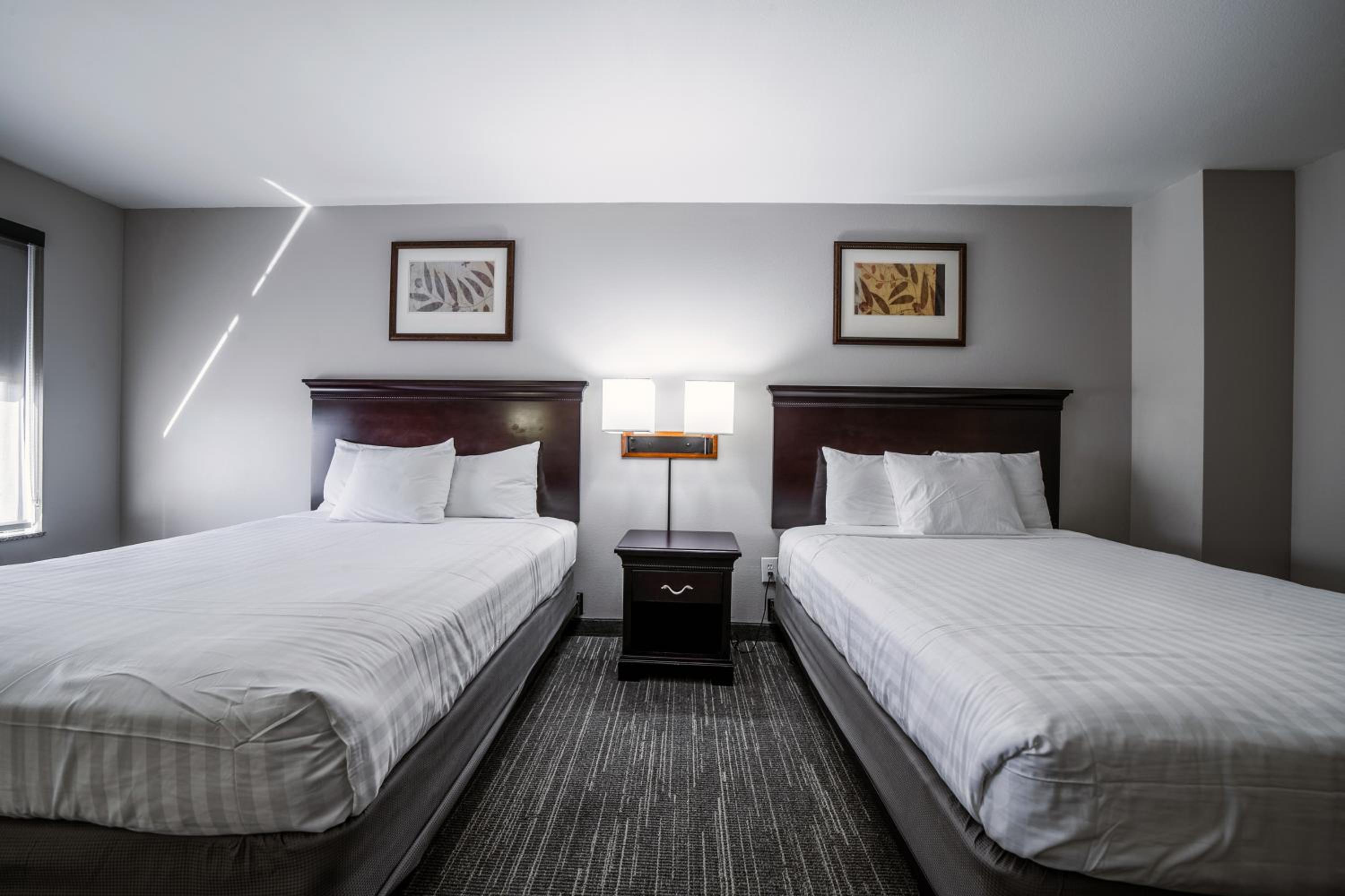 Queen Room with Two Queen Beds - Disability Access - Photo 5