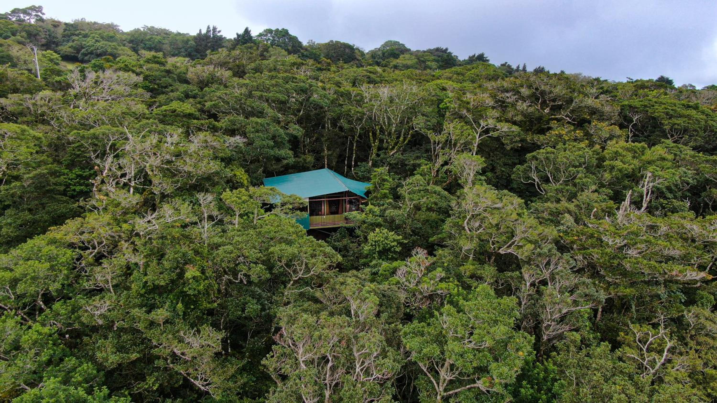 Chalet photo 3