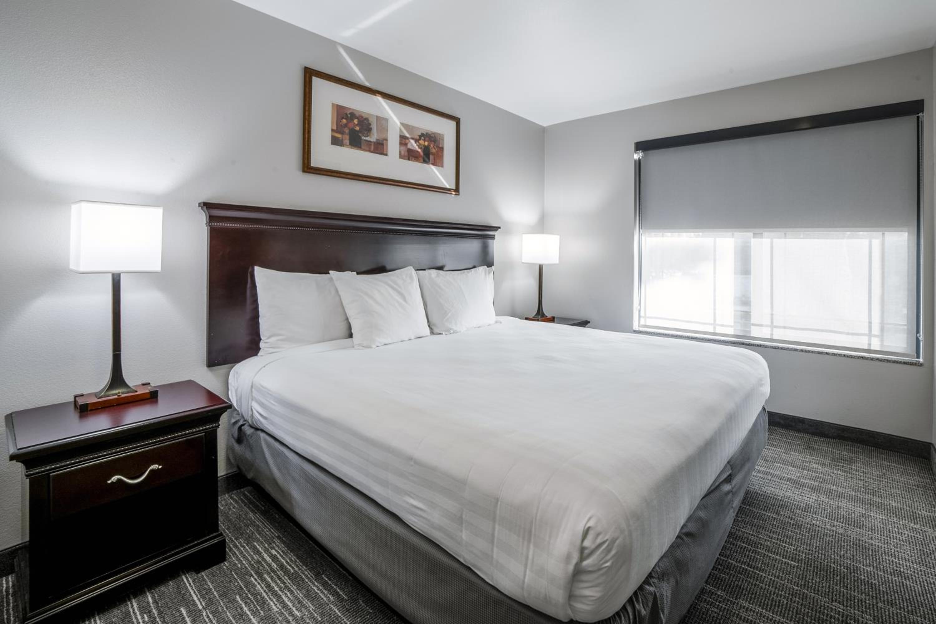 King One-Bedroom Suite - Photo 8