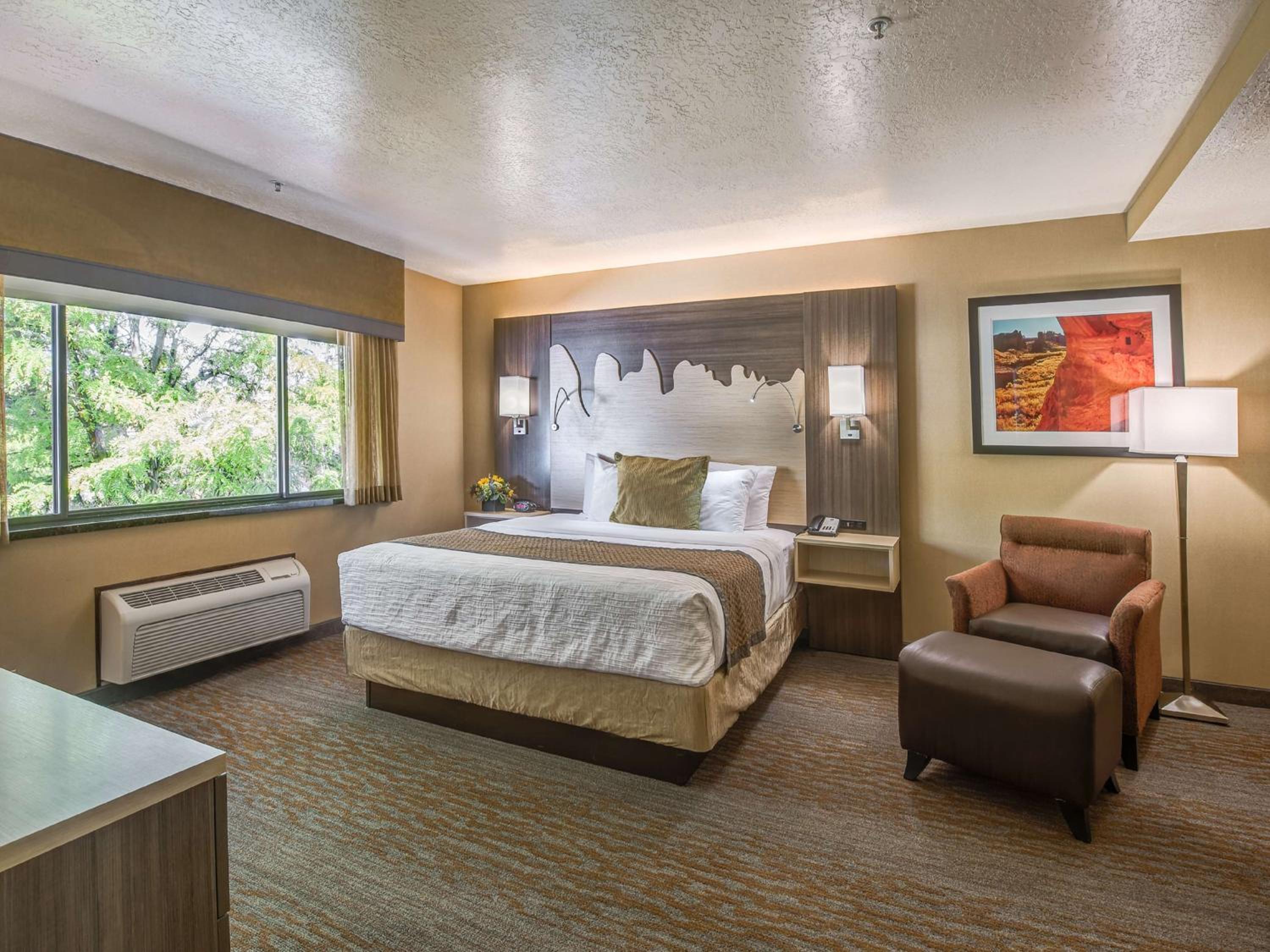 Presidential King Suite with Sofa Bed - Non-Smoking