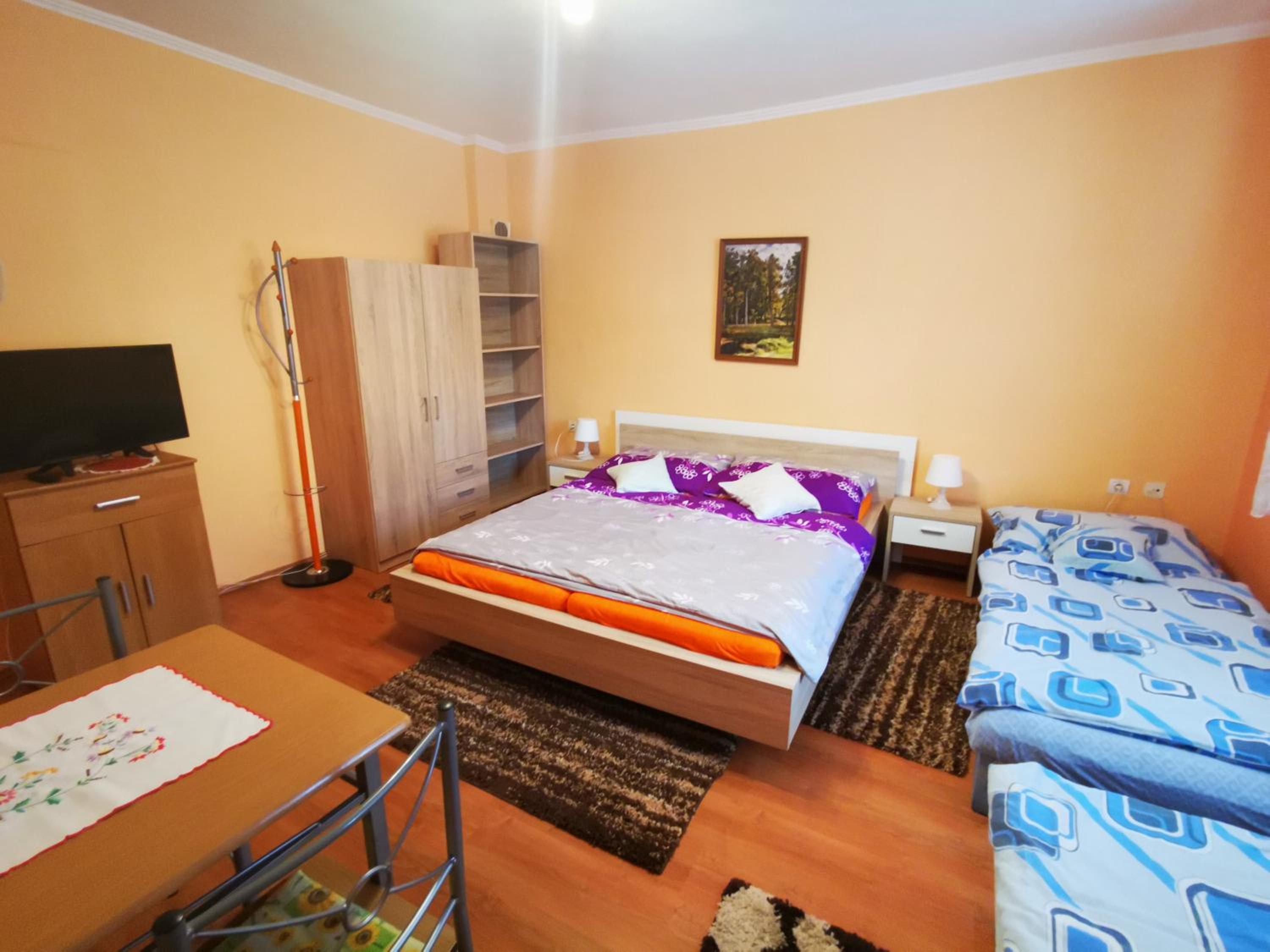 One-Bedroom Apartment photo 2