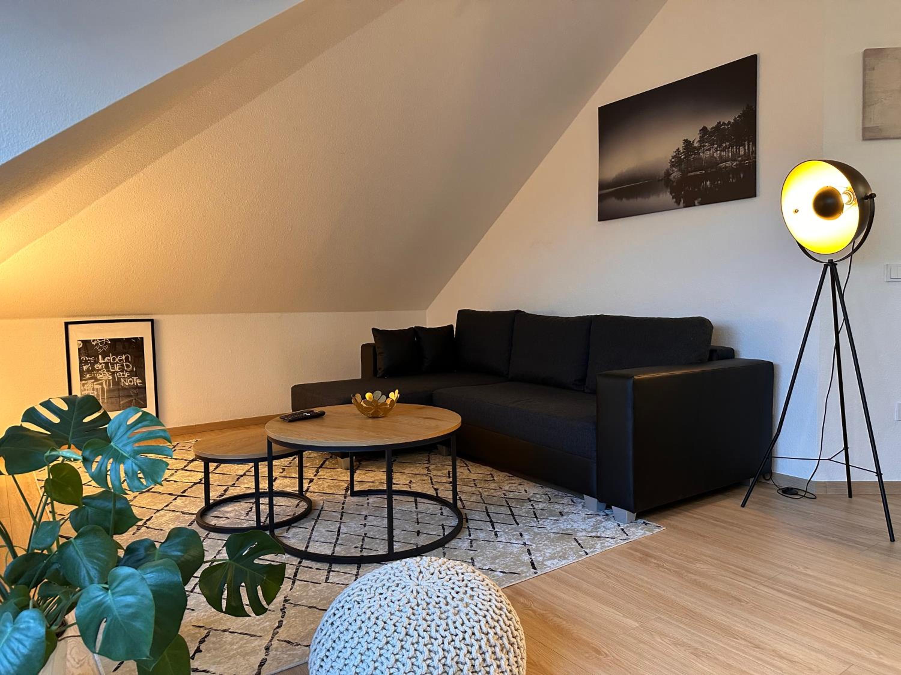 One-Bedroom Apartment photo 3