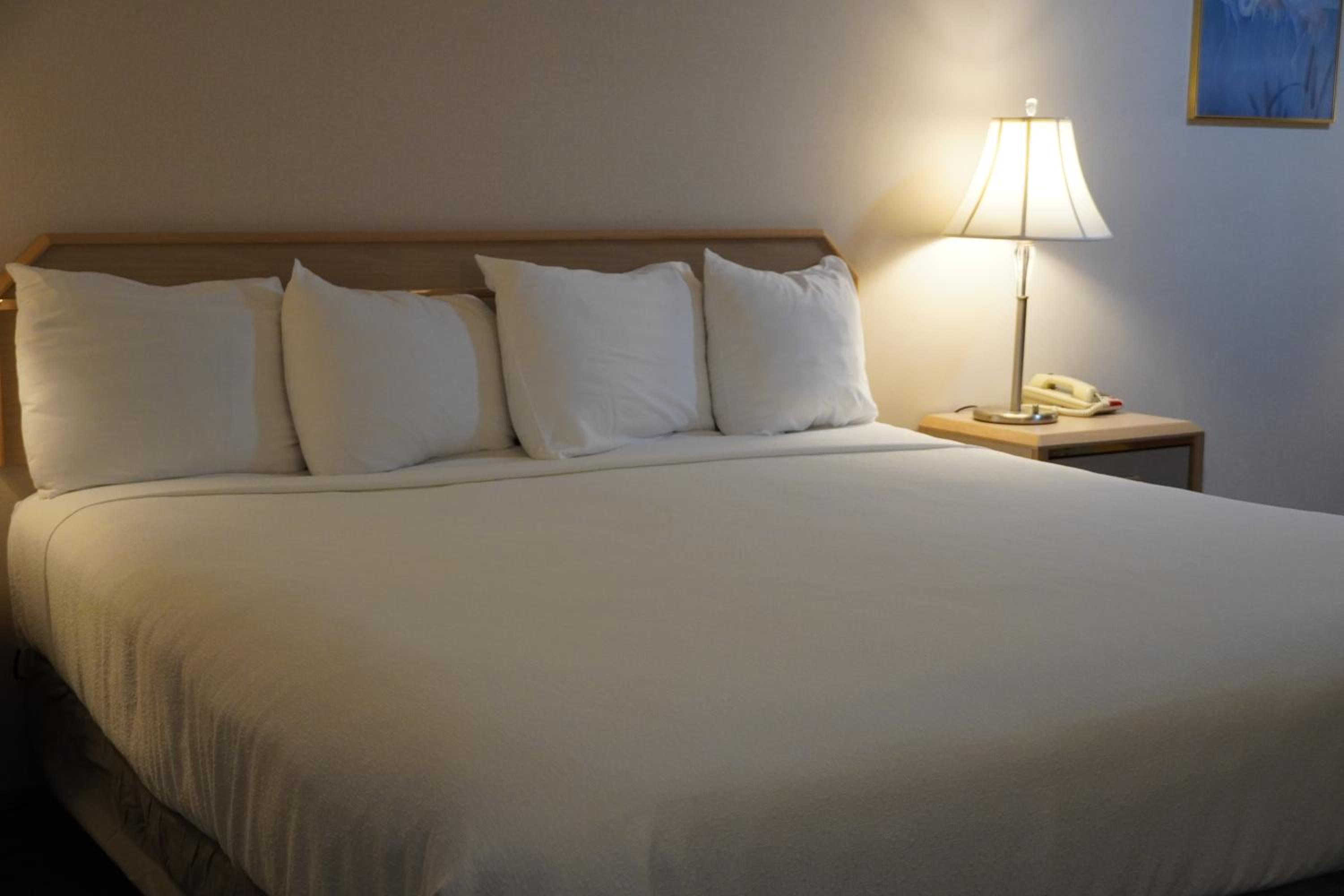 King Room - Photo 5