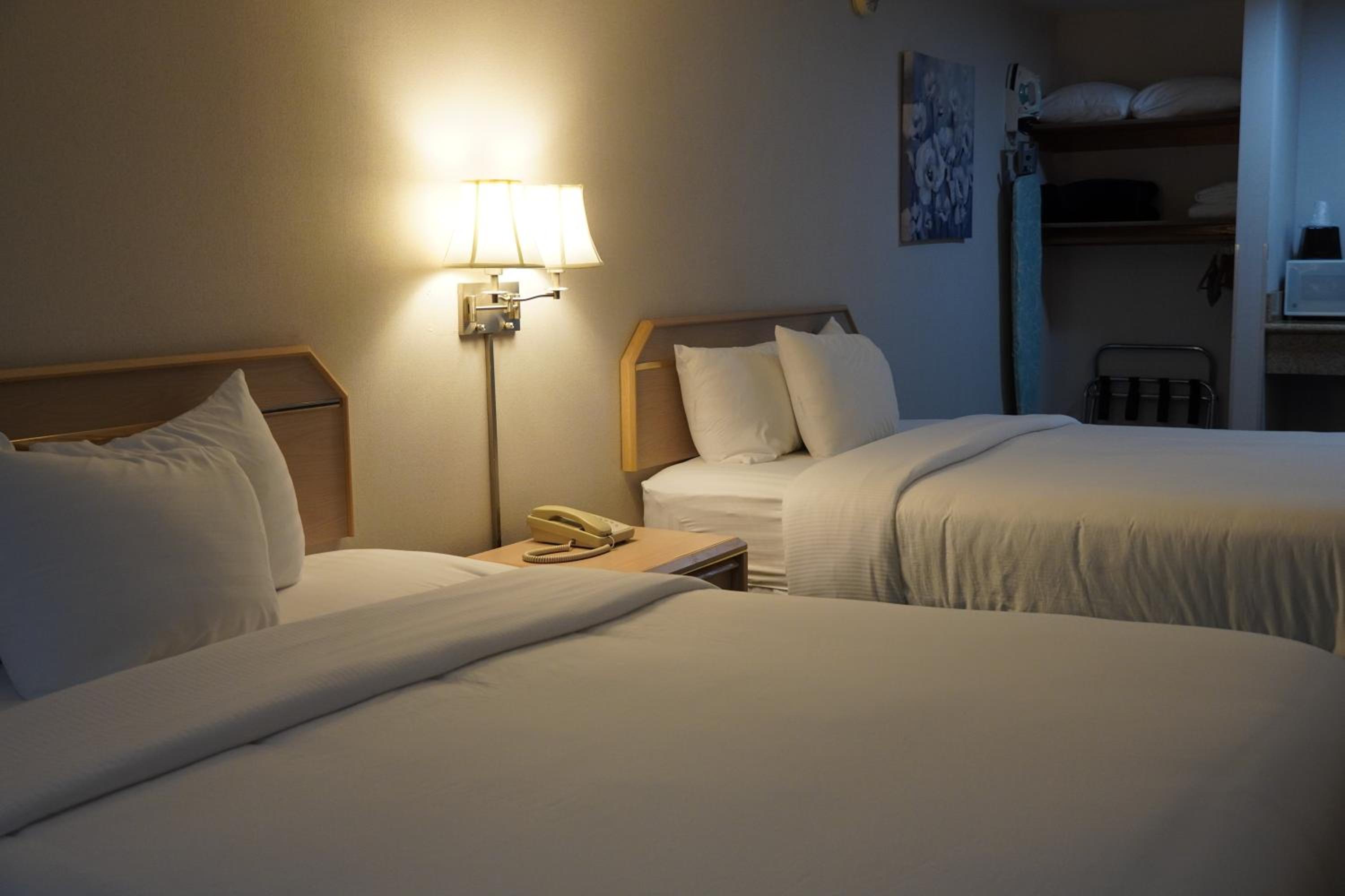 Deluxe Double Room with Extra Bed - Photo 1