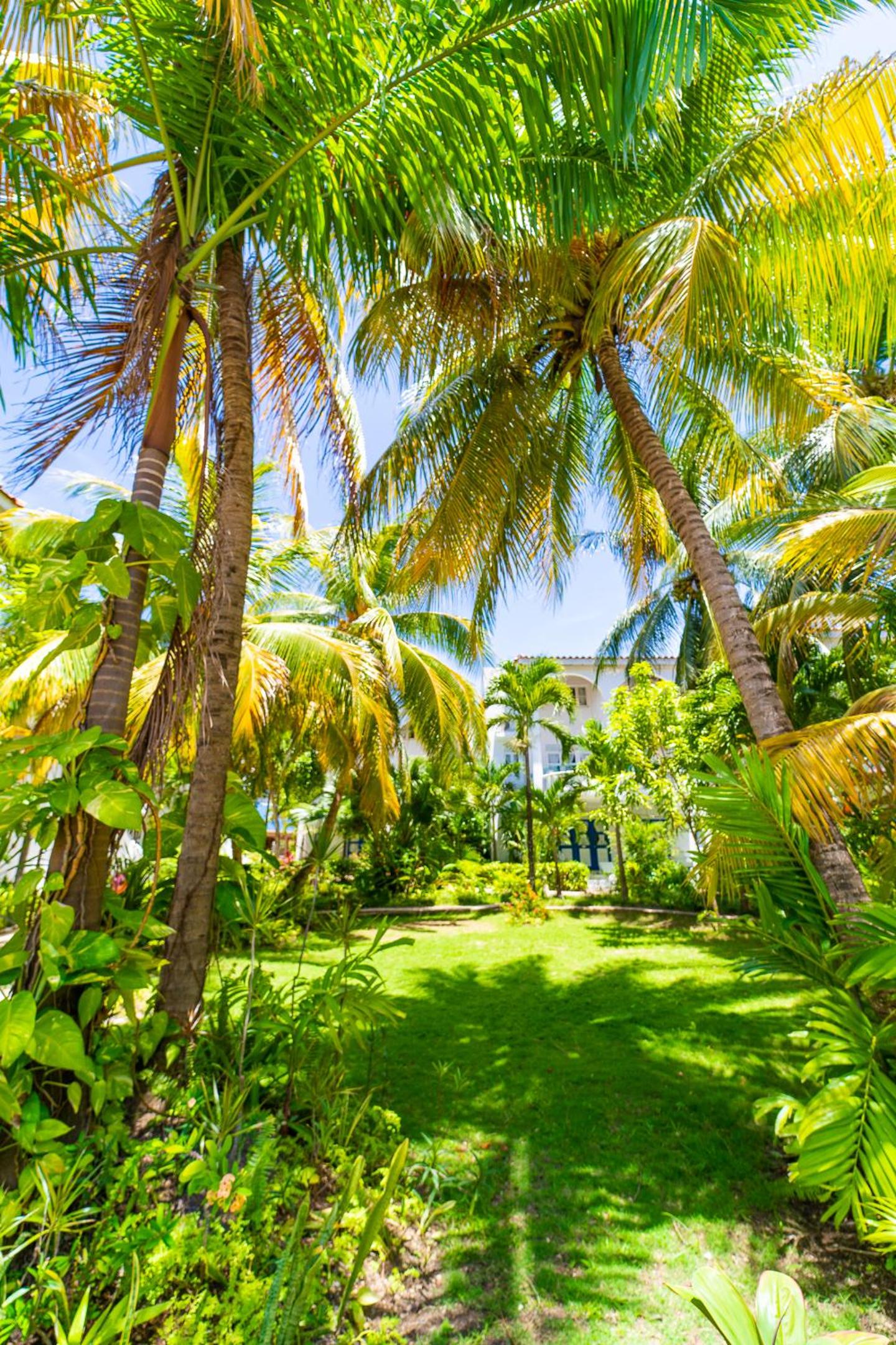 Junior Suite Garden/Pool View - Nanny Service Included