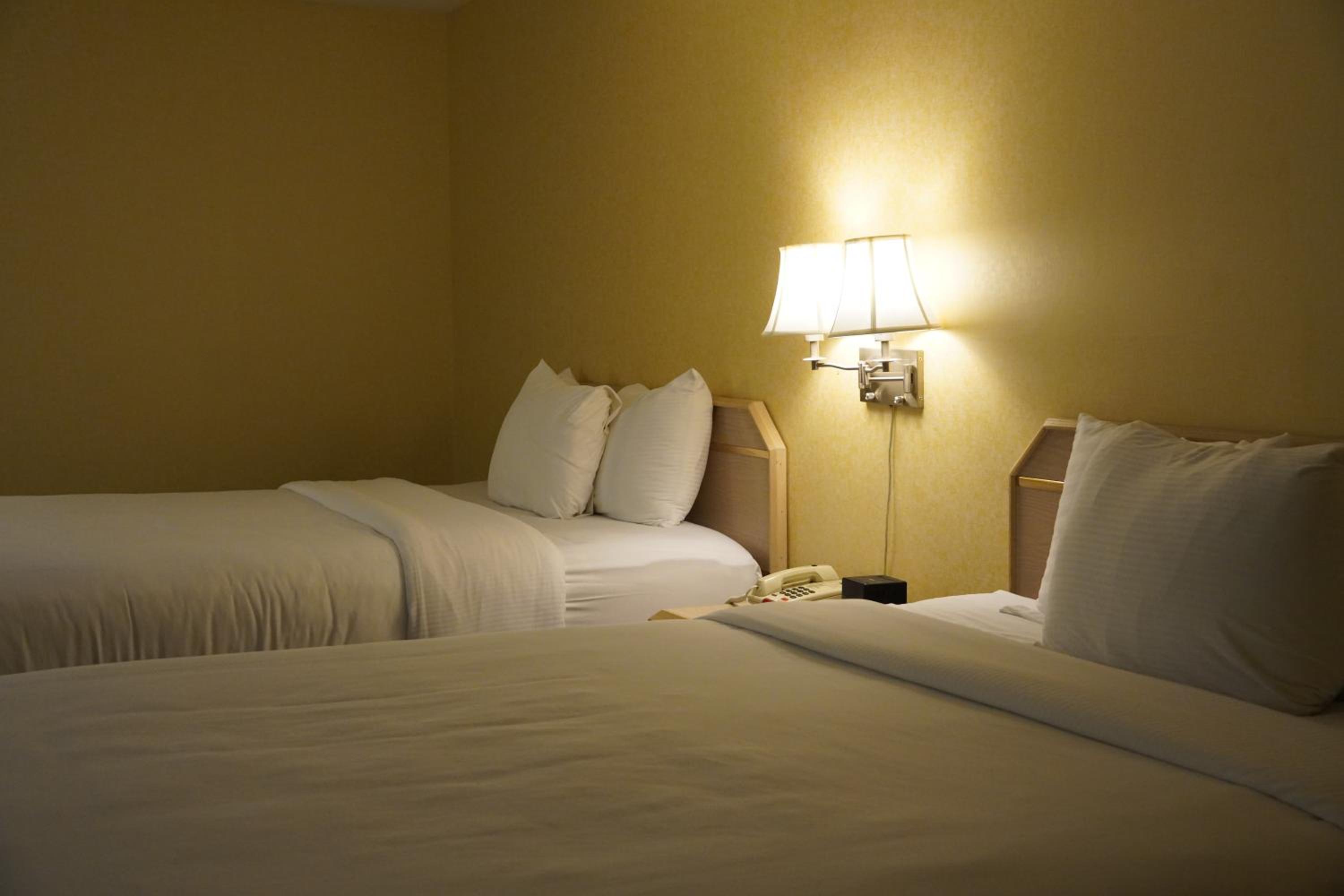 Deluxe Family Suite - Photo 4