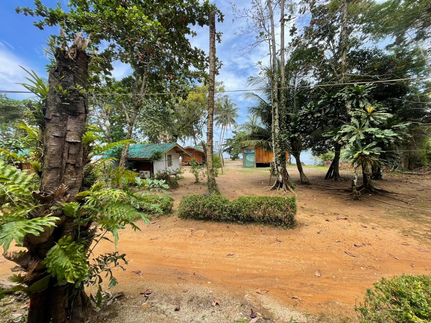 Bungalow with Garden View photo 3