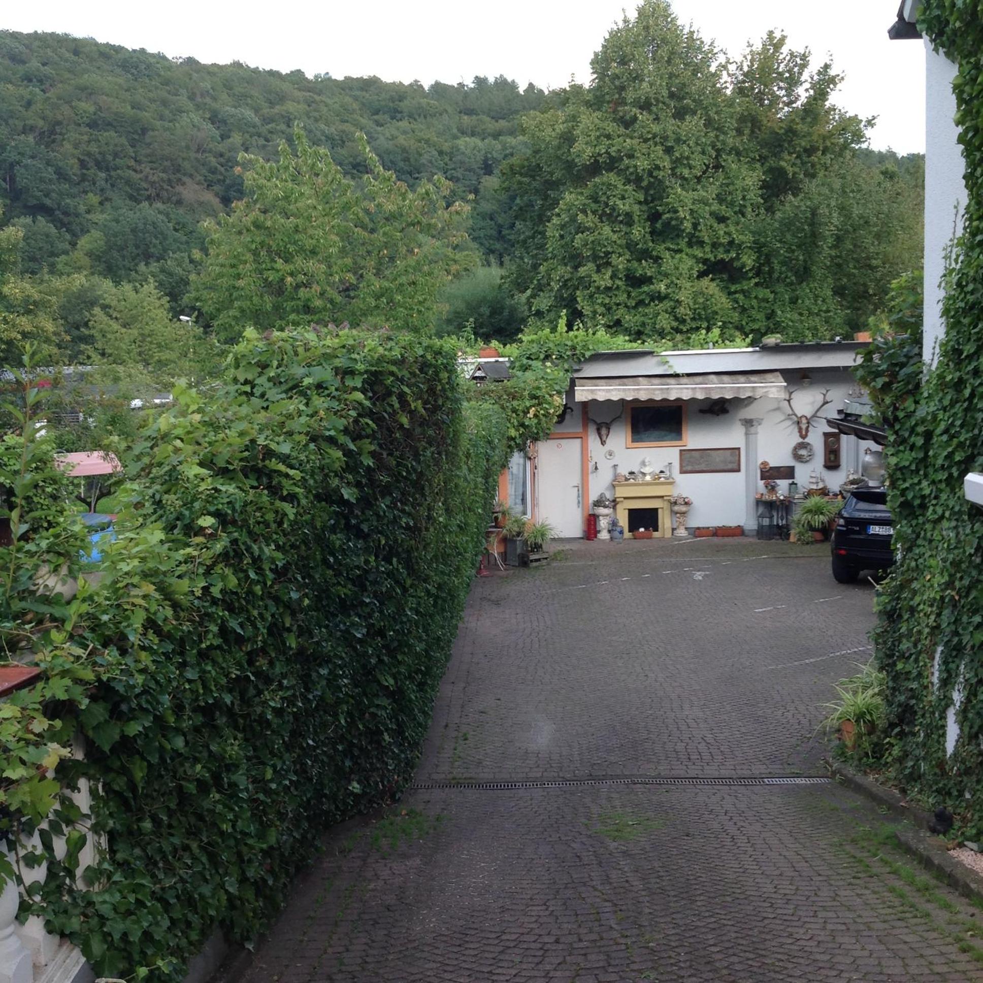 Double Room with Garden View photo 2