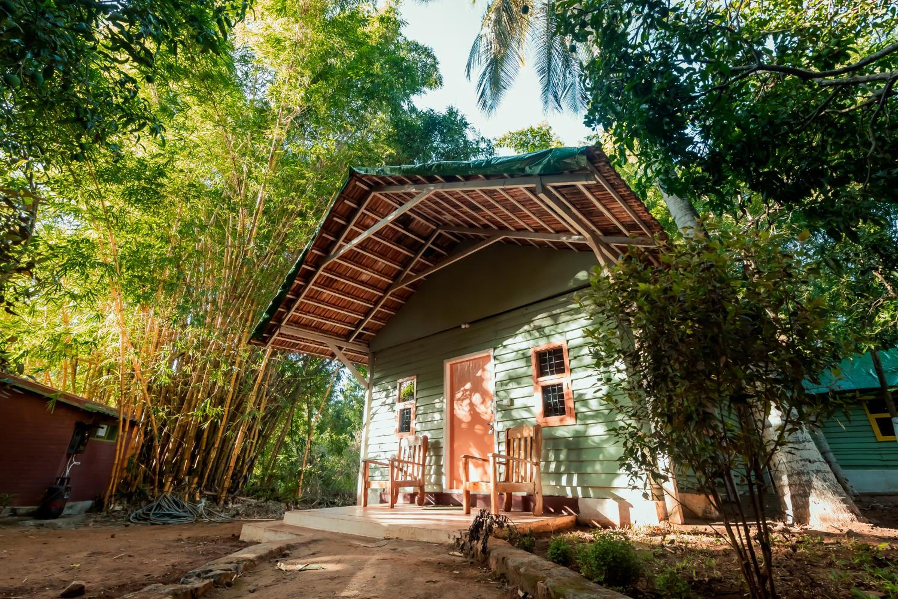 Standard Double Room - Photo 18