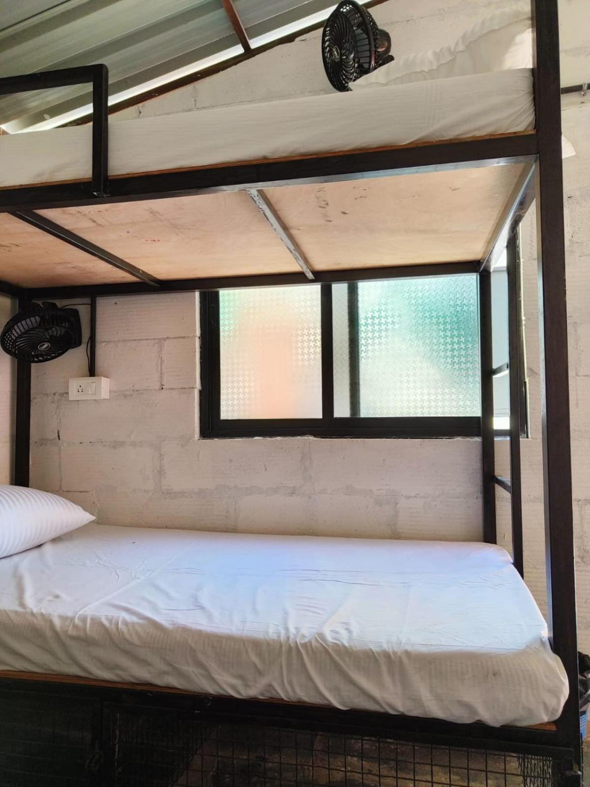 Bed in 6-Bed Mixed Dormitory Room photo 1