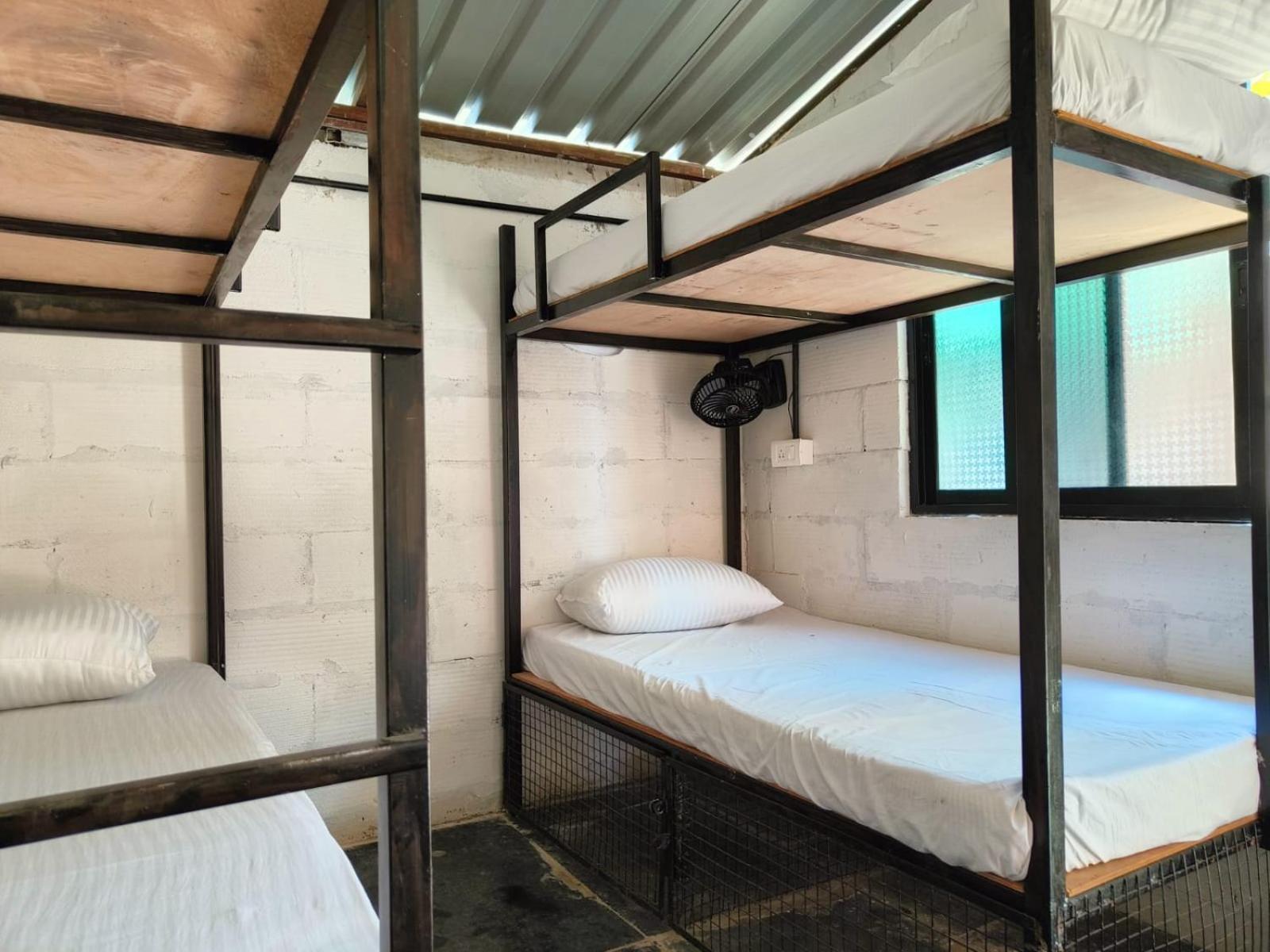 Bed in 6-Bed Mixed Dormitory Room photo 1