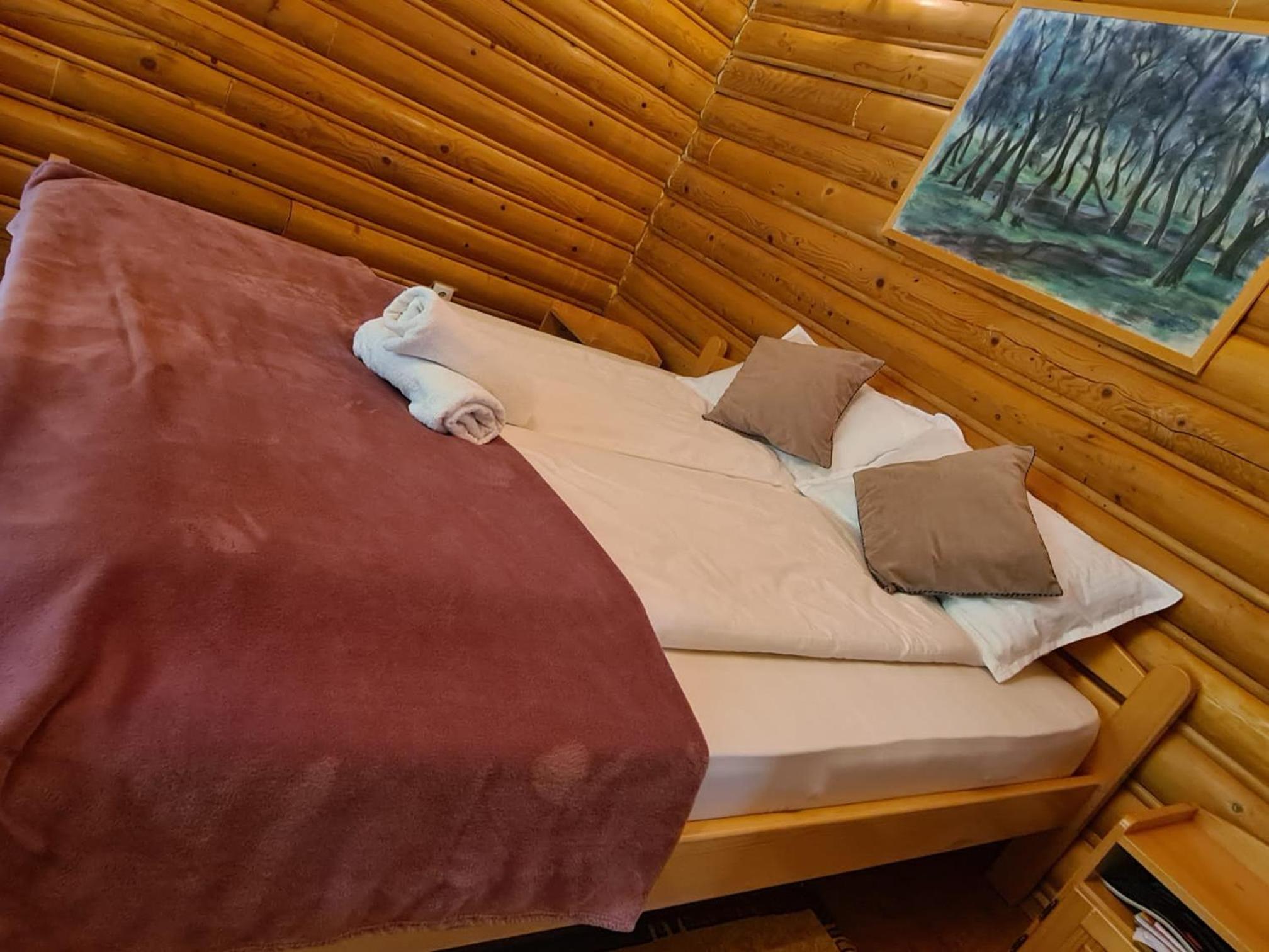 Deluxe Villa photo 3