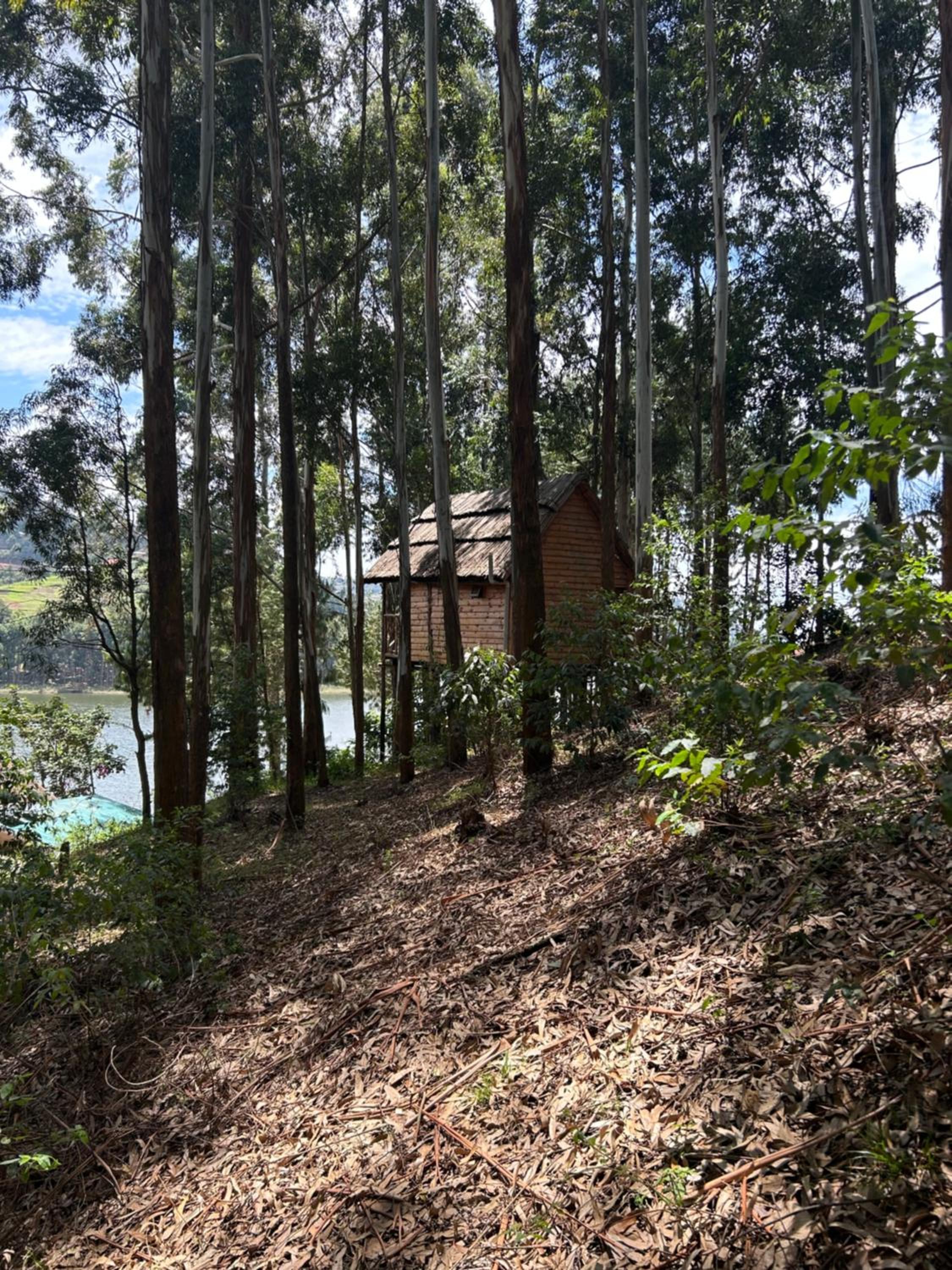 Double Room with Lake View photo 3