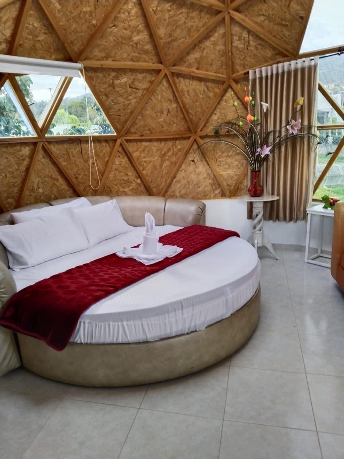 Double Room With Garden View photo 1