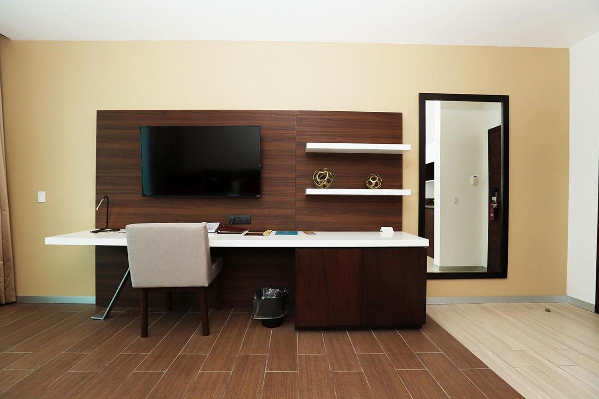 Suite Executive