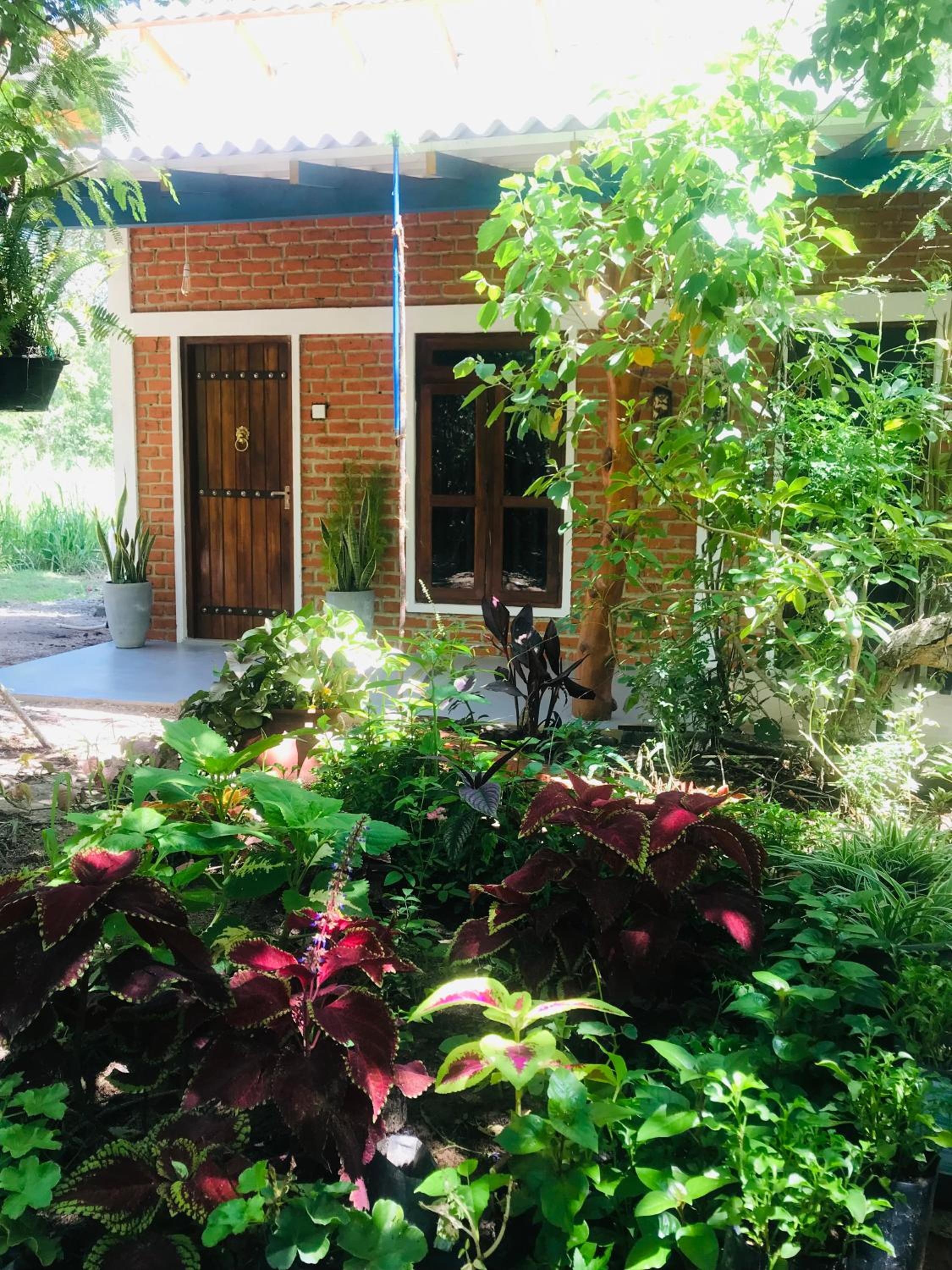 Family Room with Garden View photo 3