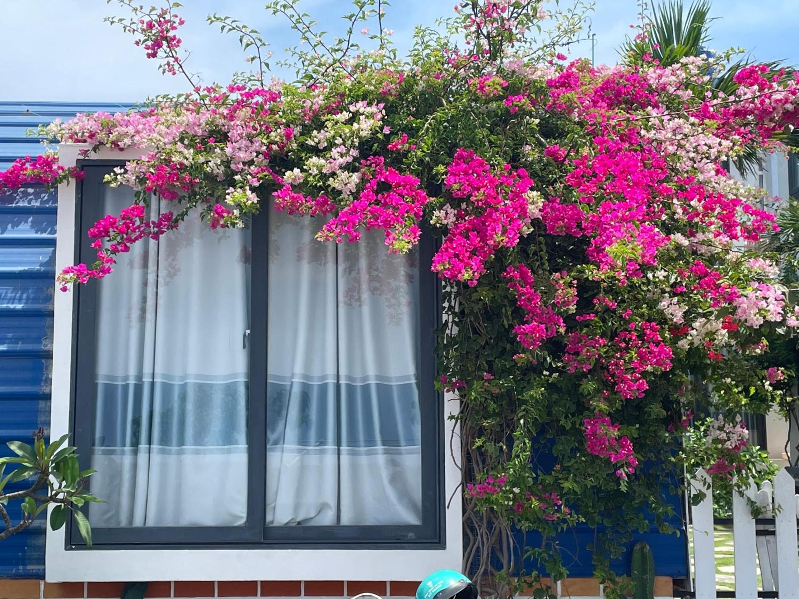 Bungalow with Sea View photo 3