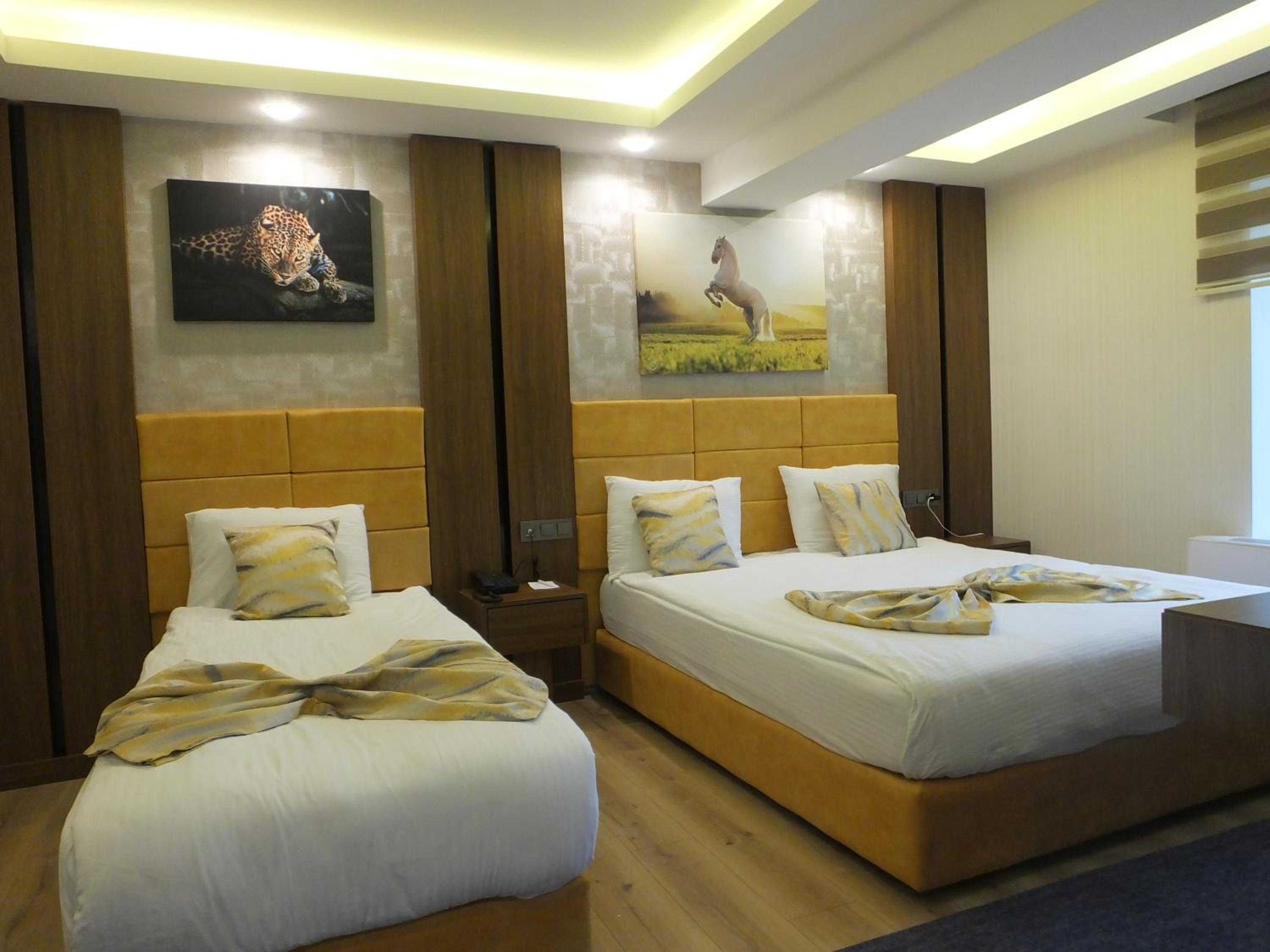 Double Or Twin Room
