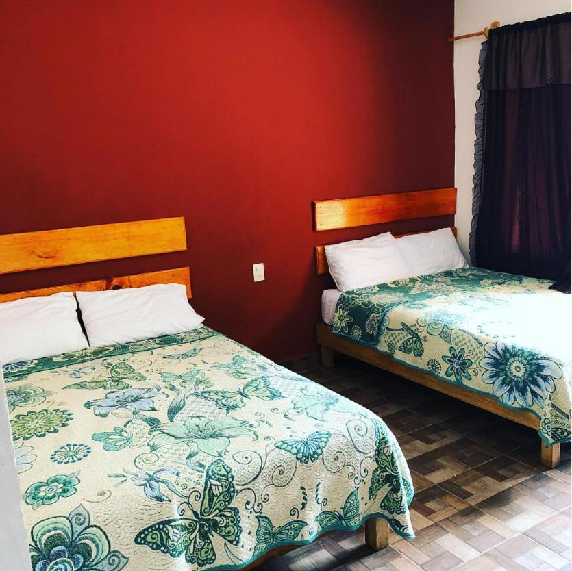 Twin Room with Bathroom photo 2