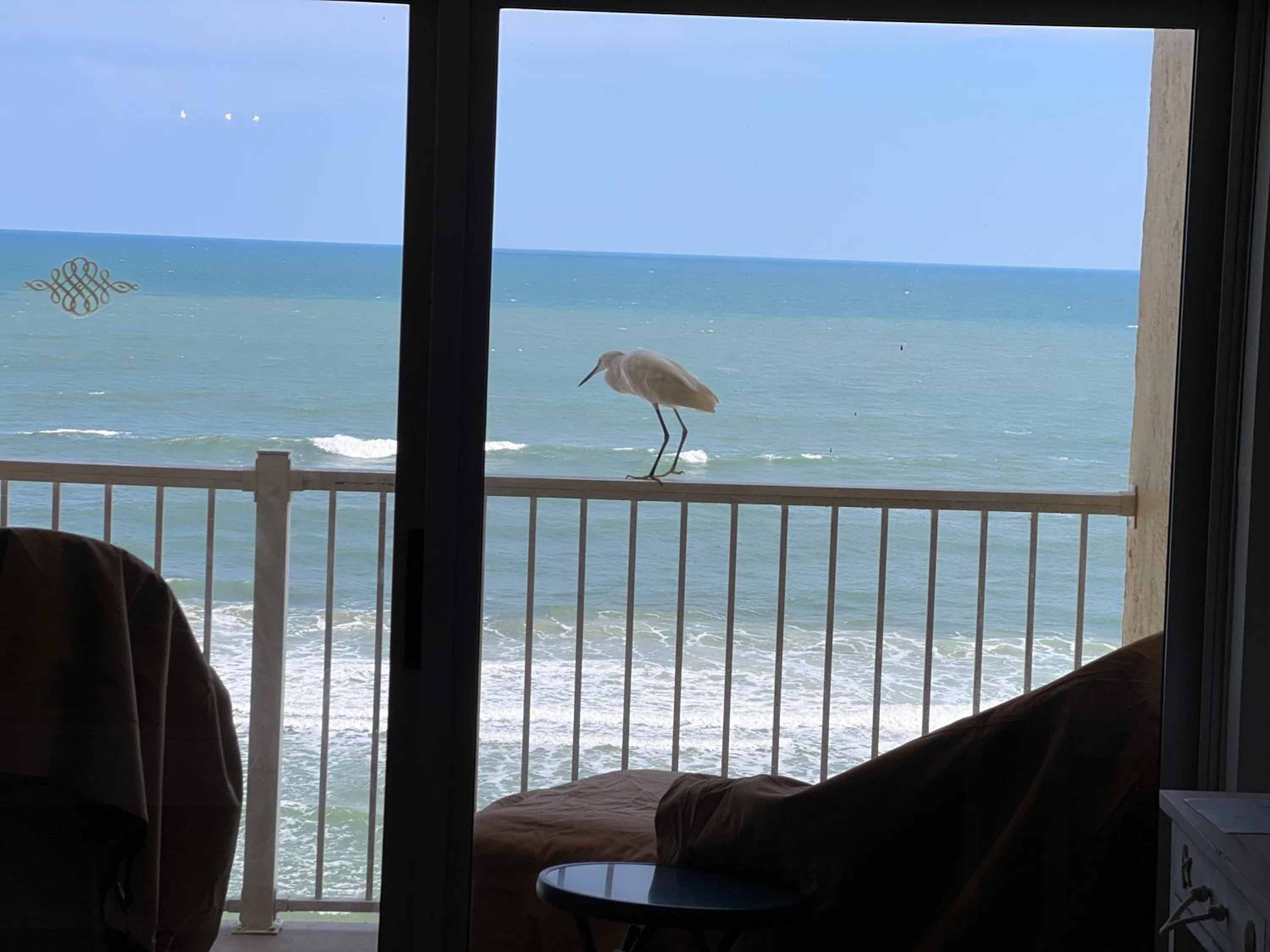 Apartment with Sea View photo 2