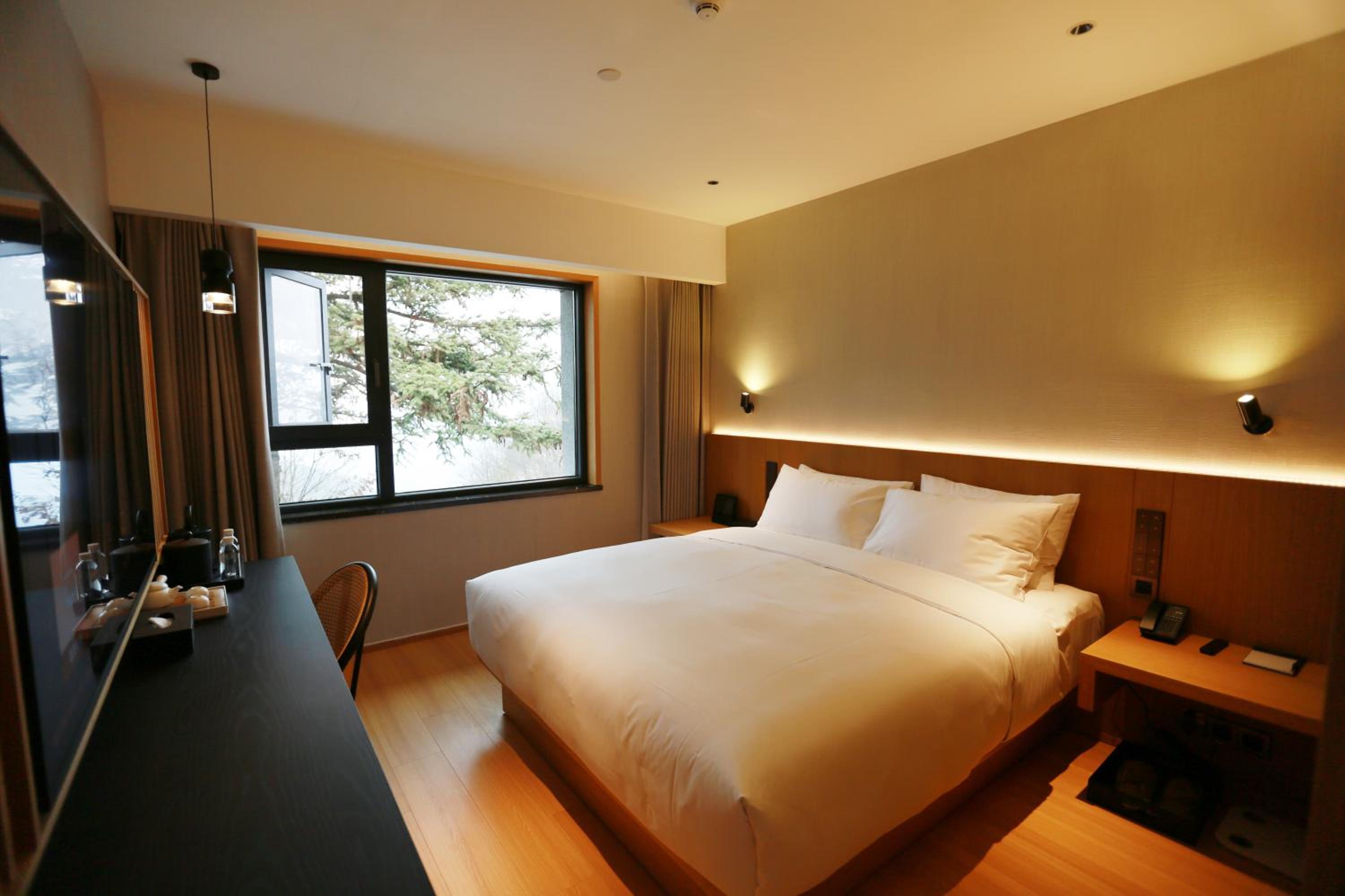 Mountain View Queen Room